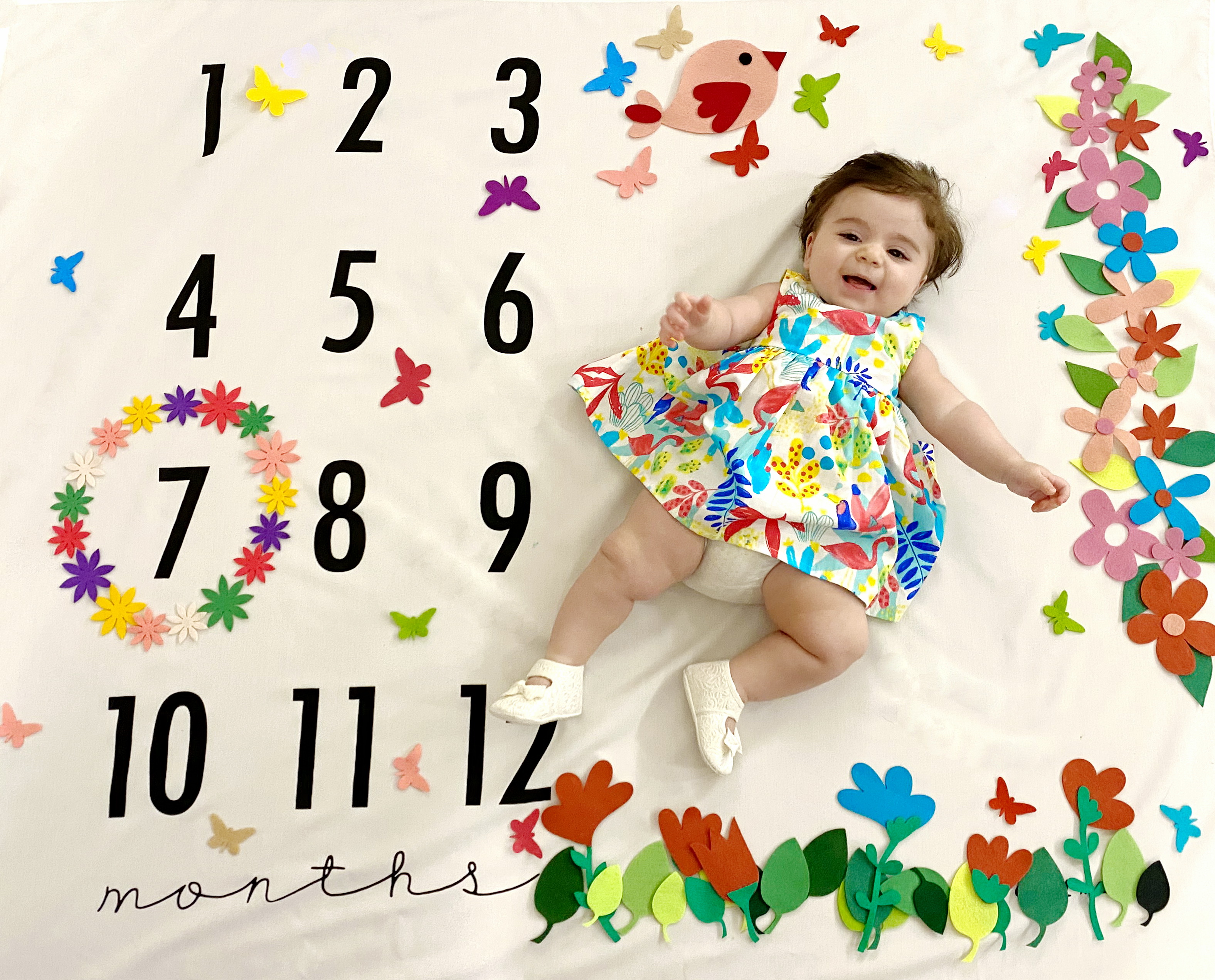 تم-عکاسی-گل-و-بلبل-16561