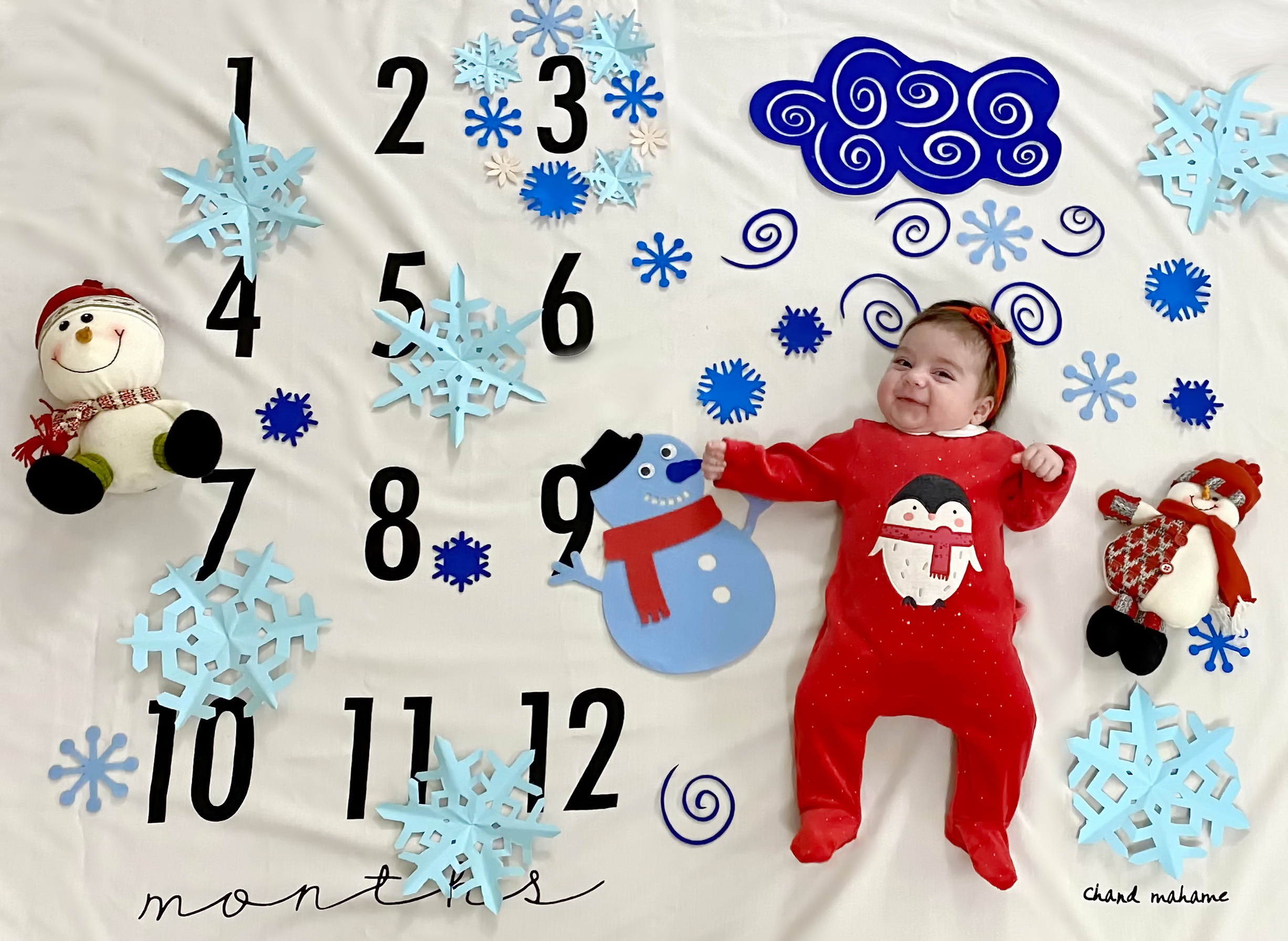 تم-زمستانی-12930