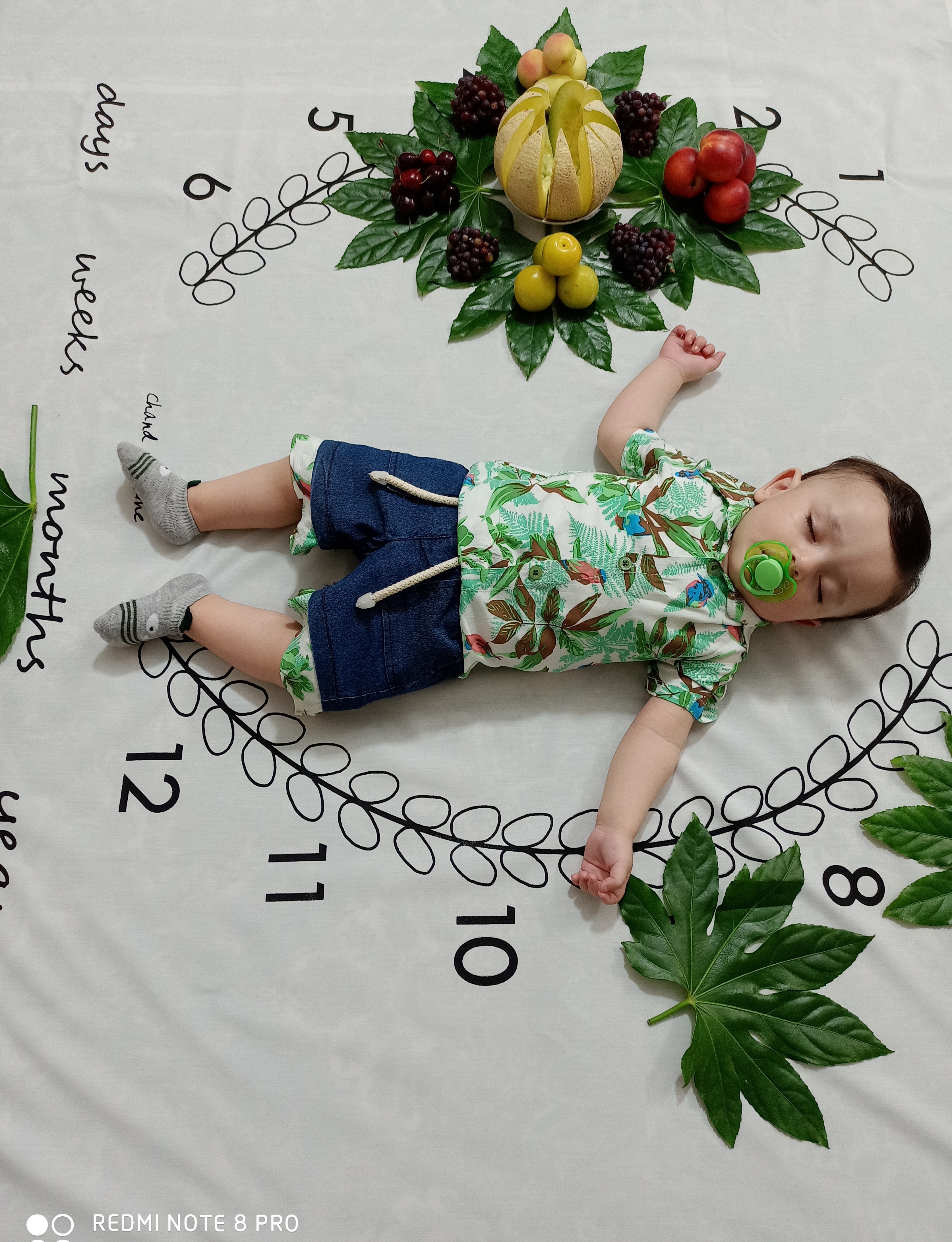 عکاسی با میوه محمدهادی فردی