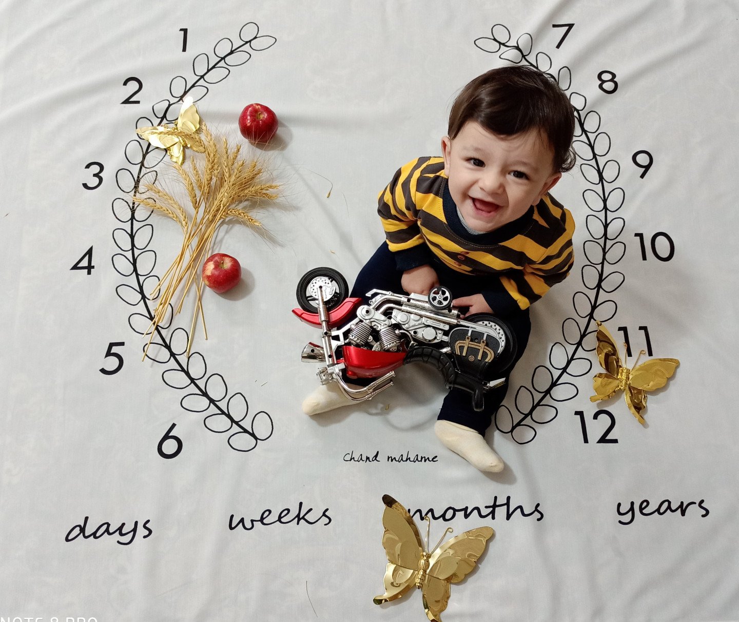 عکس سیزده بدر محمدهادی فردی