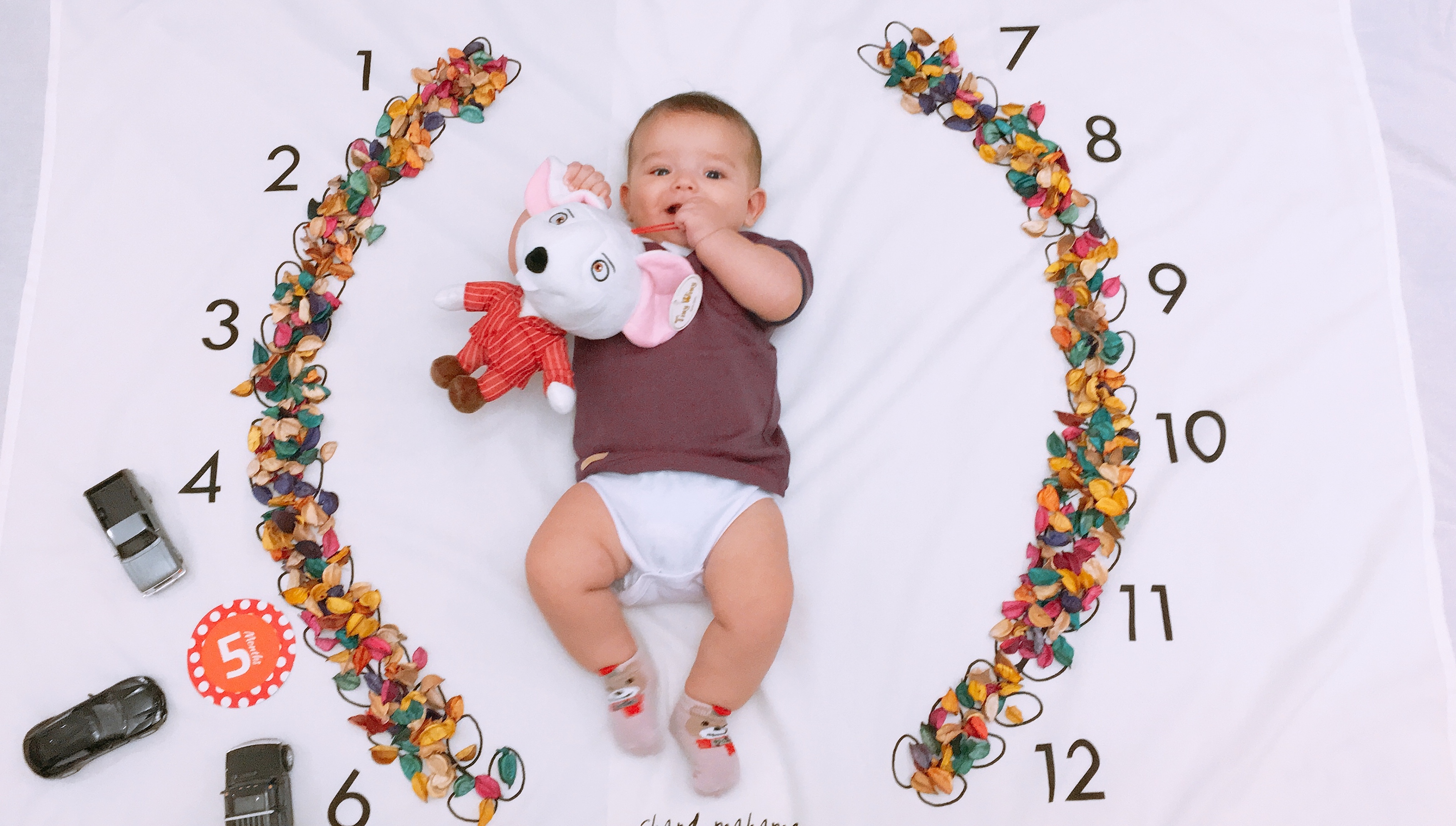 پارچه ماه شمار طرح شاخه زیتون رادین جهانی