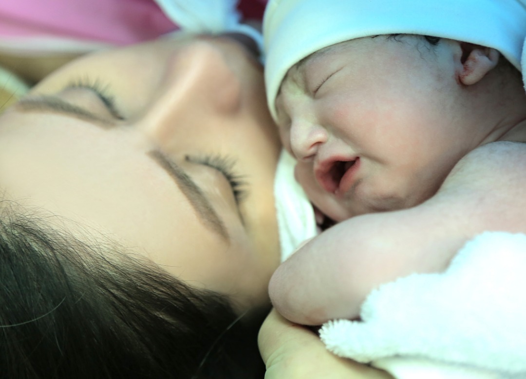 عید نوروز سلین هاشمی اصل