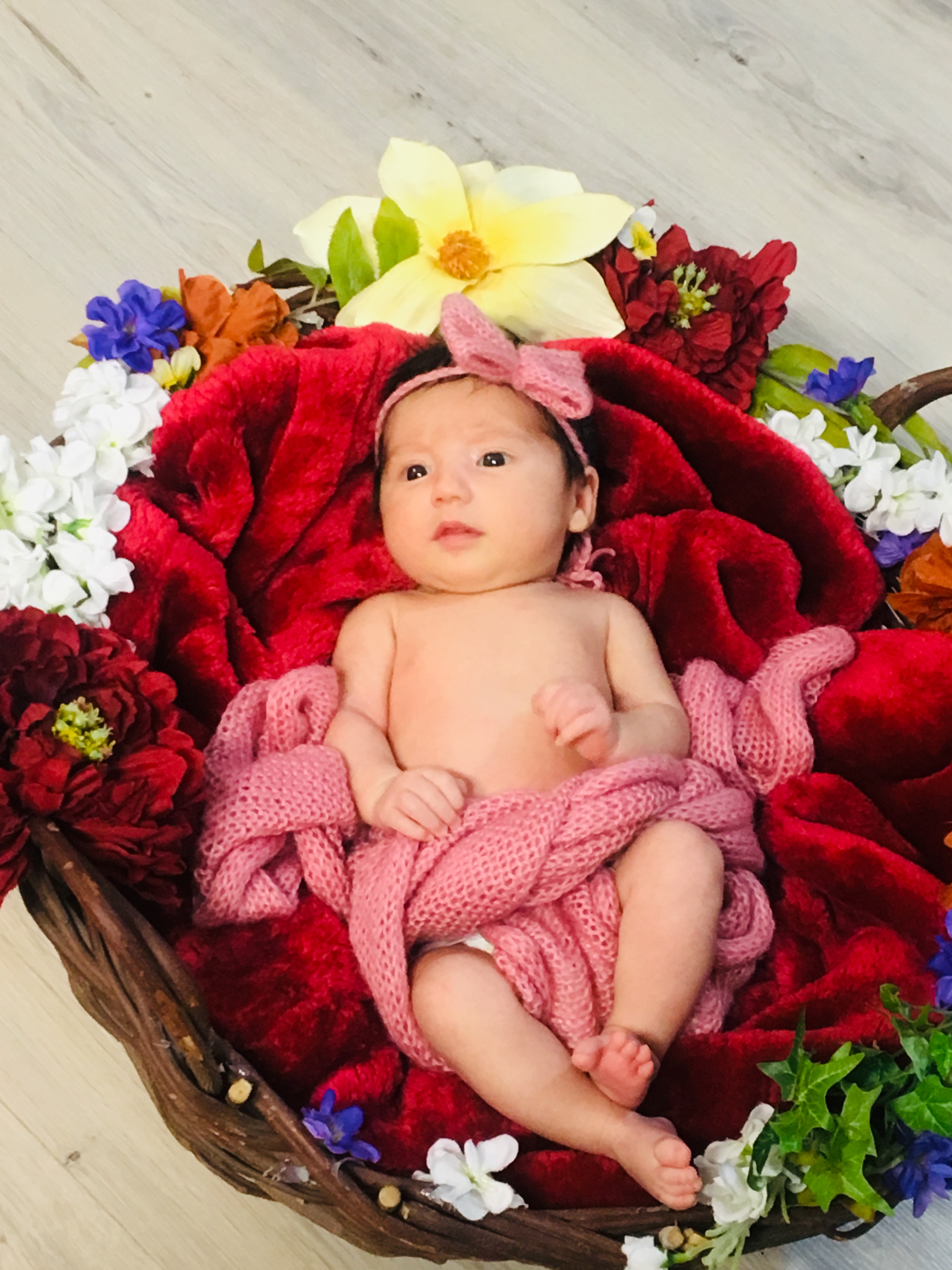 عید نوروز سلین هاشمی اصل