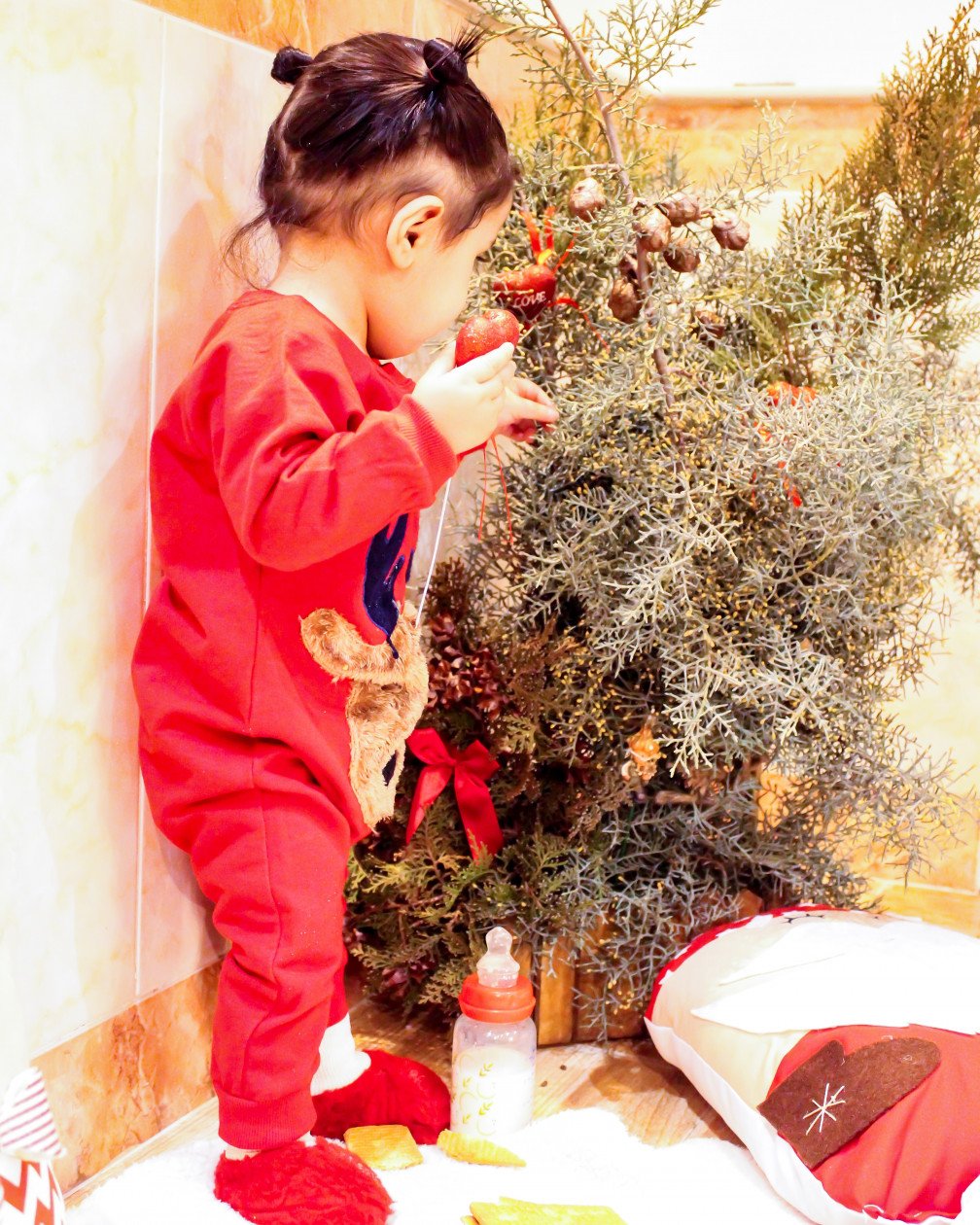 تم عکس زمستانی نوزاد گلشا معرفت