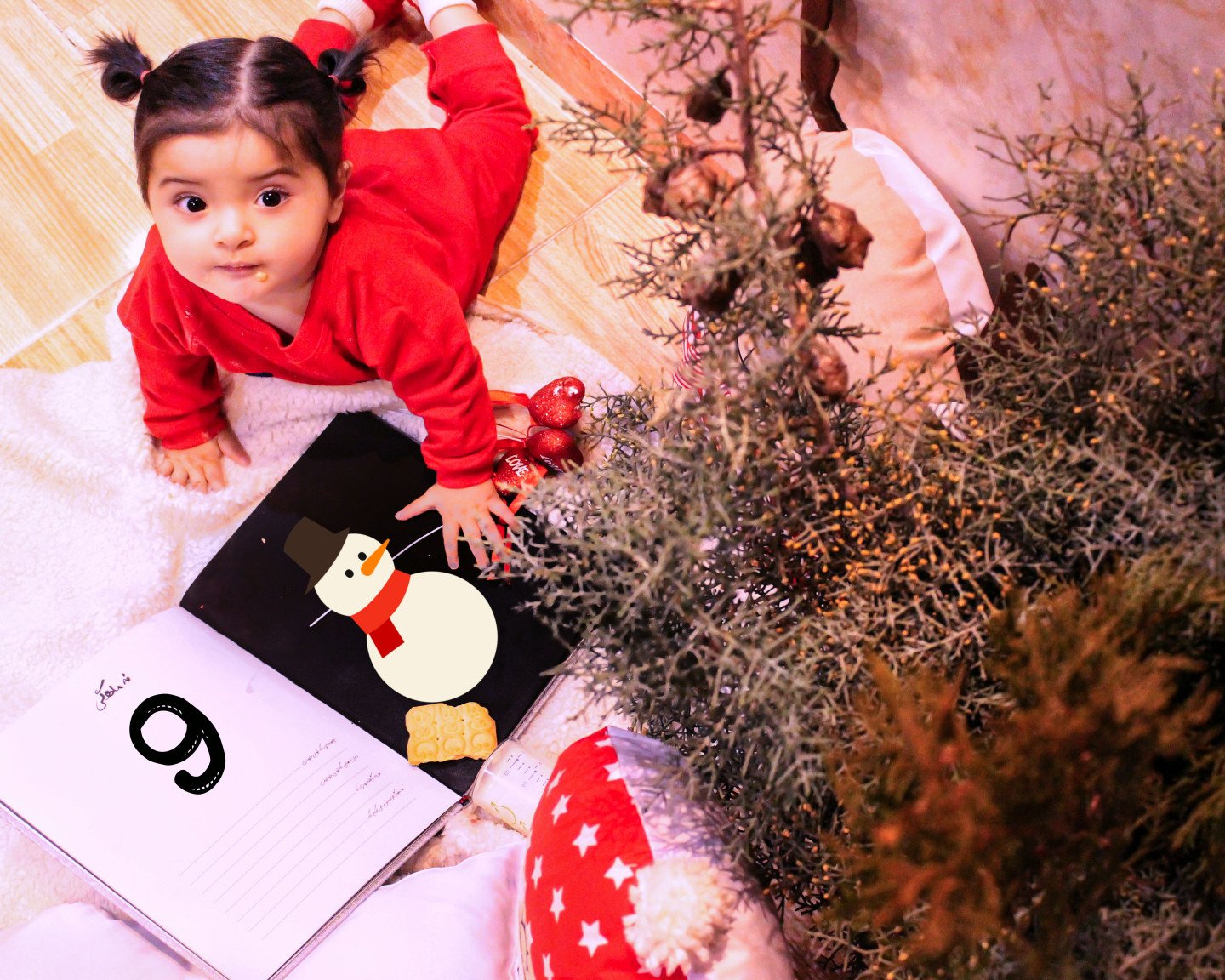 جشن کریسمس کودک گلشا معرفت