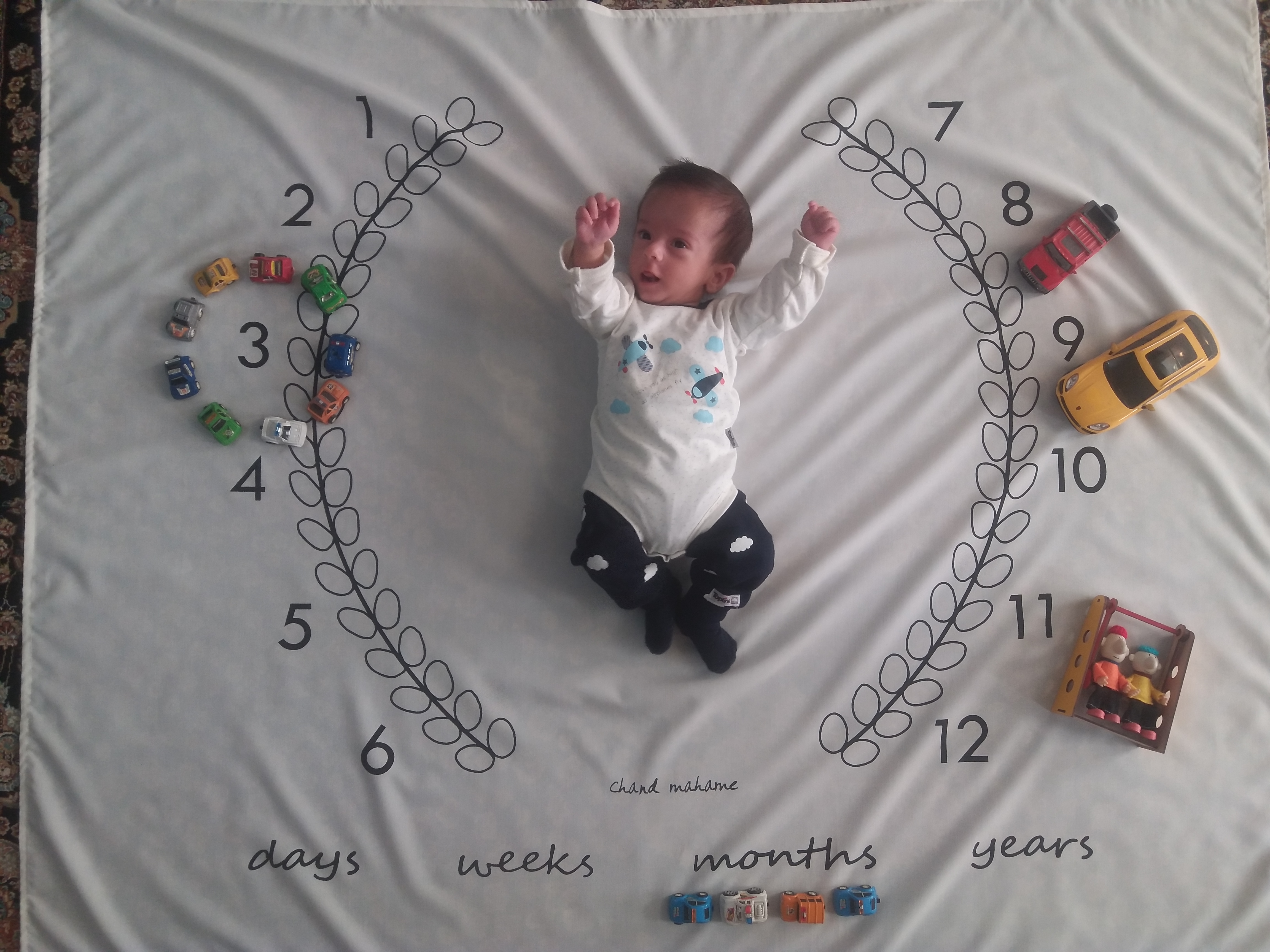 پارچه ماه شمار طرح شاخه زیتون مهرسام داودلو