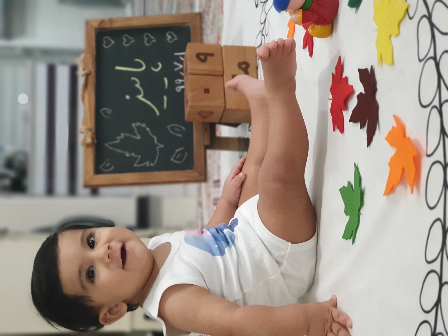 تم عکس پاییزی نوزاد رادین و آیلین اسکندرزاده