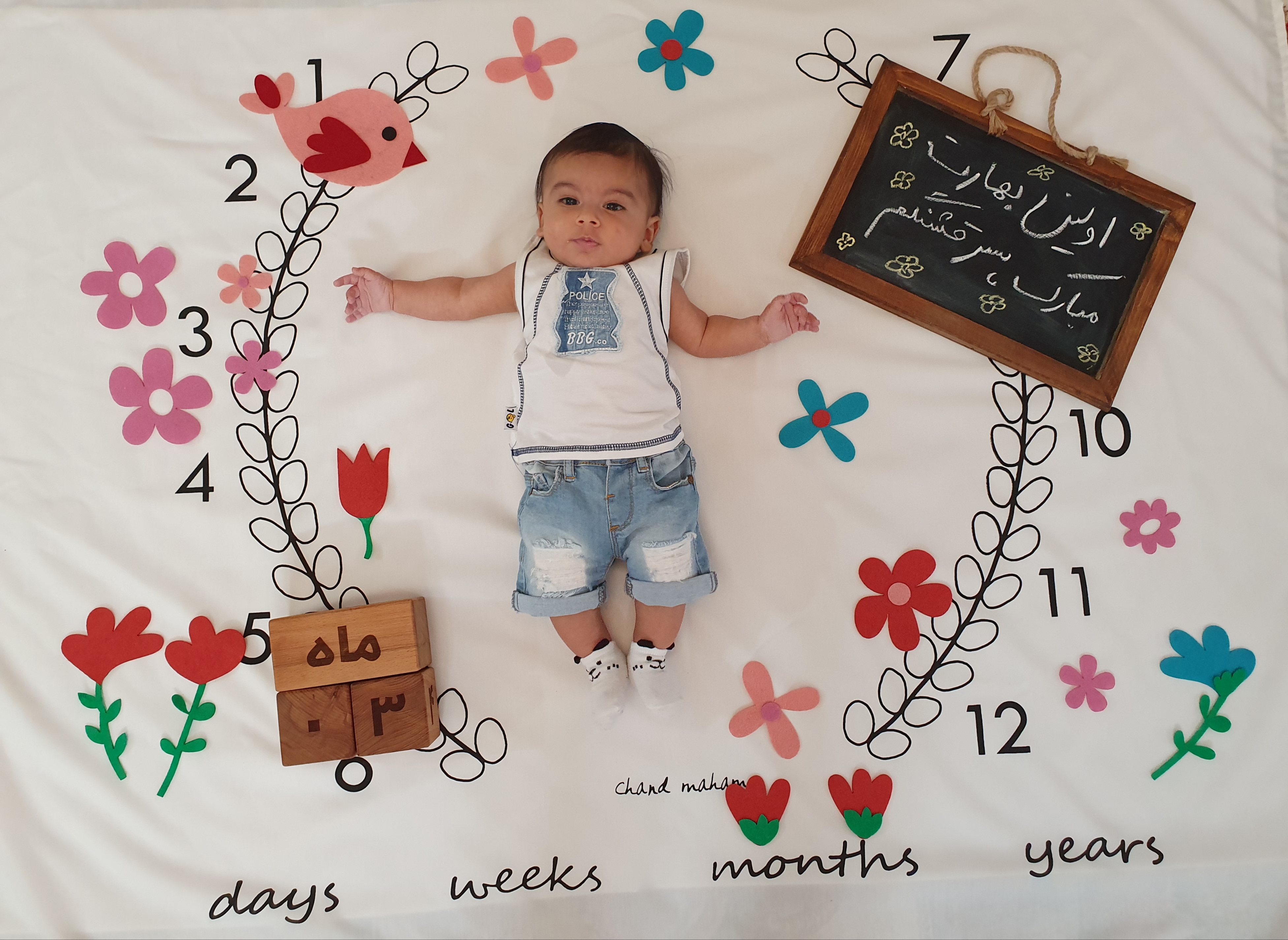 تم-عکاسی-گل-و-بلبل-14115