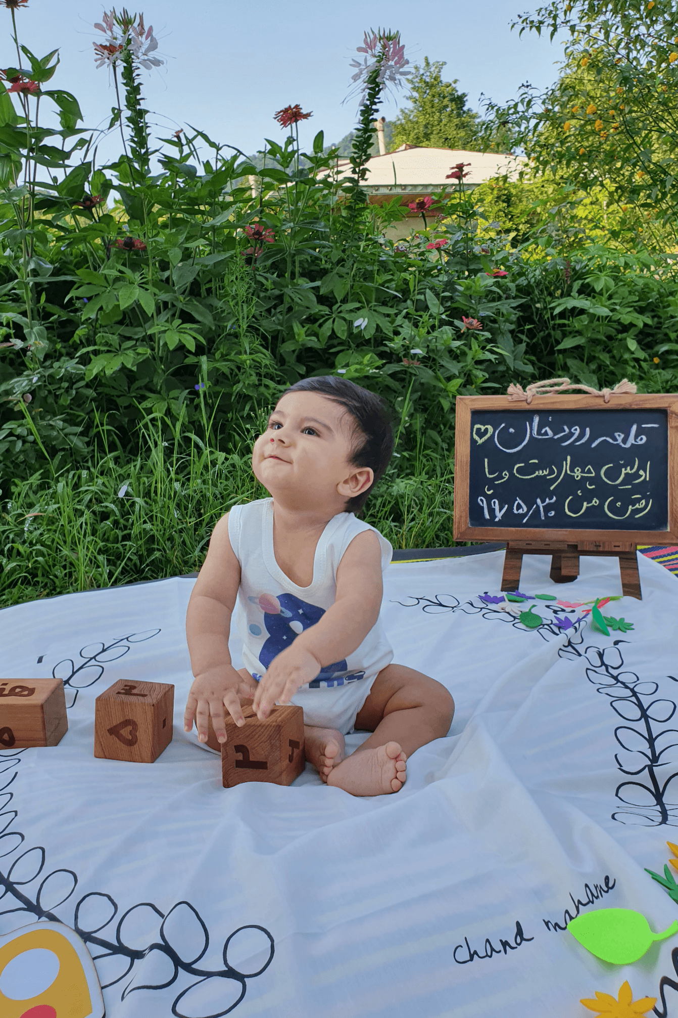 تخته-سیاه-ها-20326