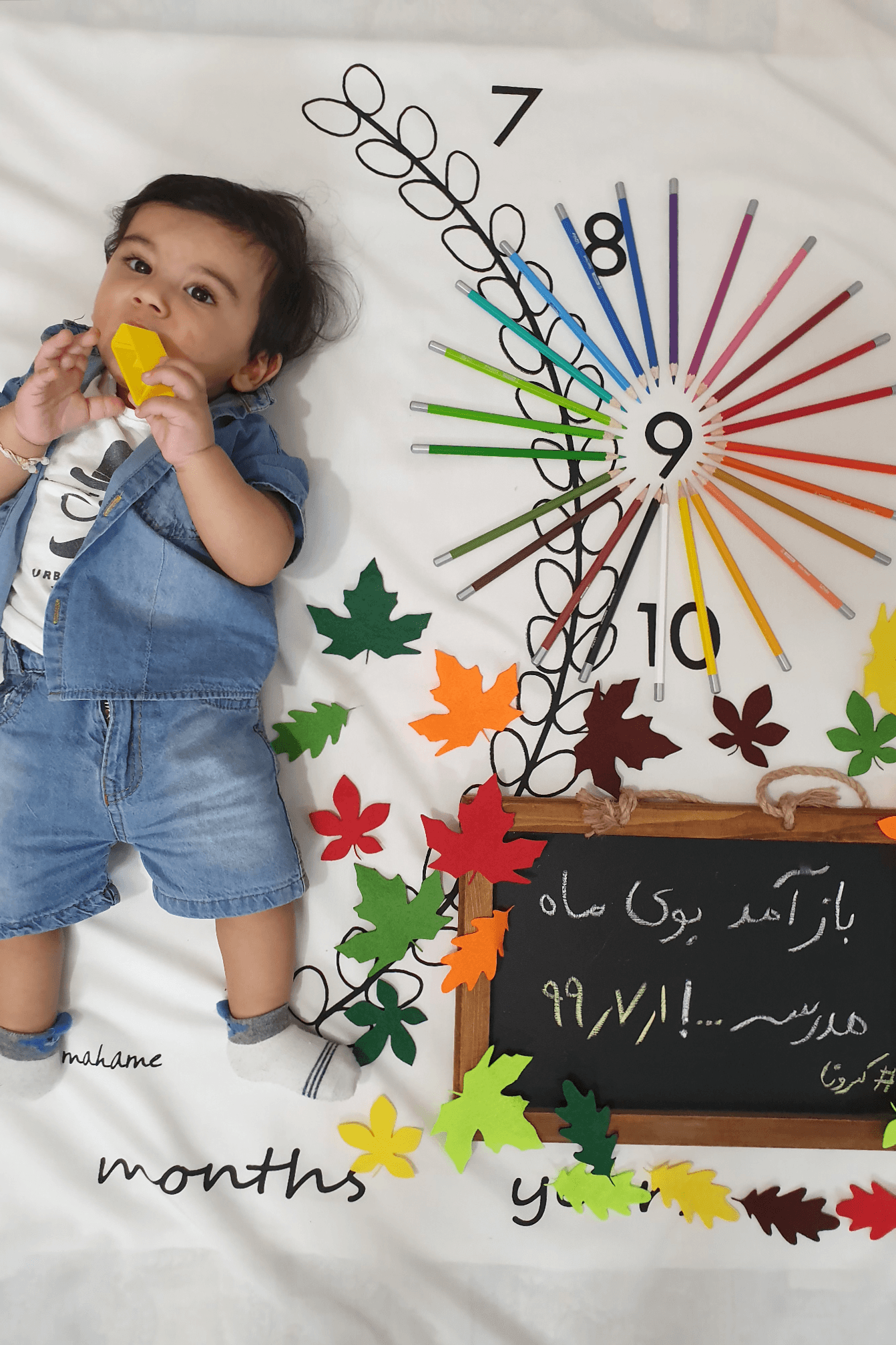 تم-و-تزیینات-نمدی-طرح-گل-و-برگ-21936