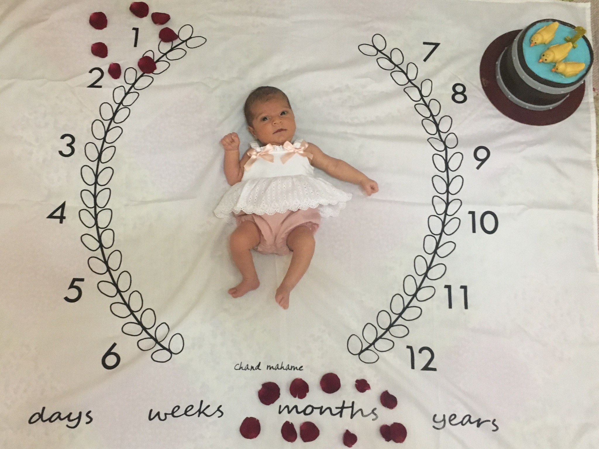 پارچه-های-عکاسی-12132