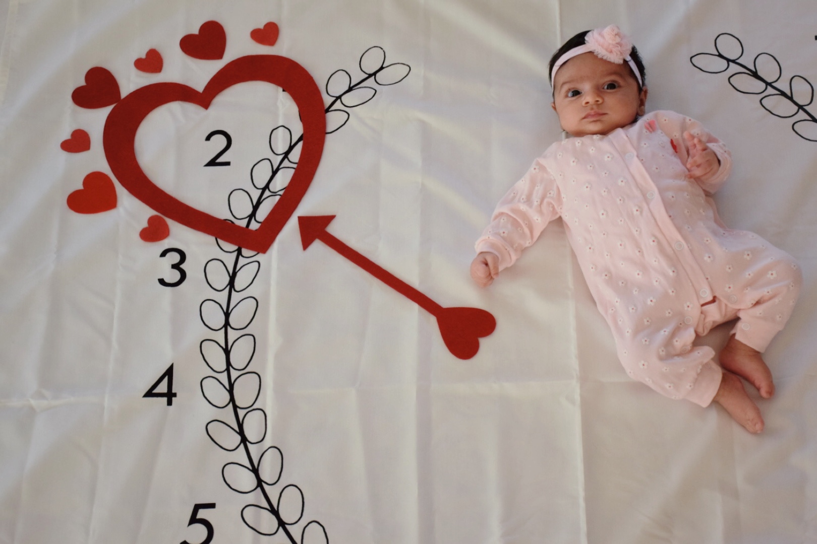 پارچه ماه شمار طرح شاخه زیتون آوين تاج الدين