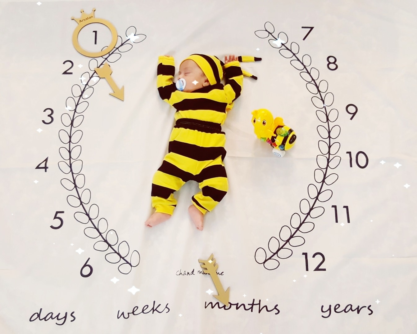 تم عکس بهاری کودک ارسلان مرادی زاده