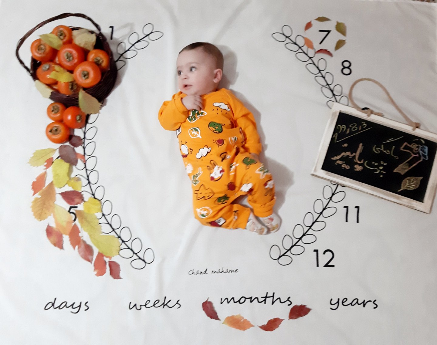 تم عکس پاییزی نوزاد آراد اکبرزاده