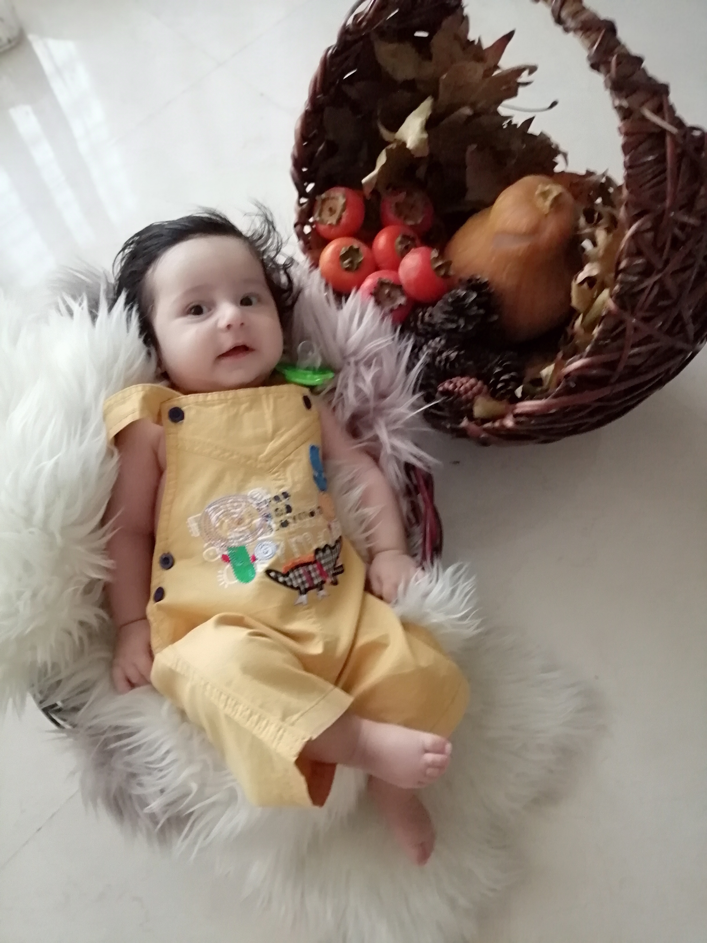 آلبوم خاطرات کودکی رادمهرکاظمی