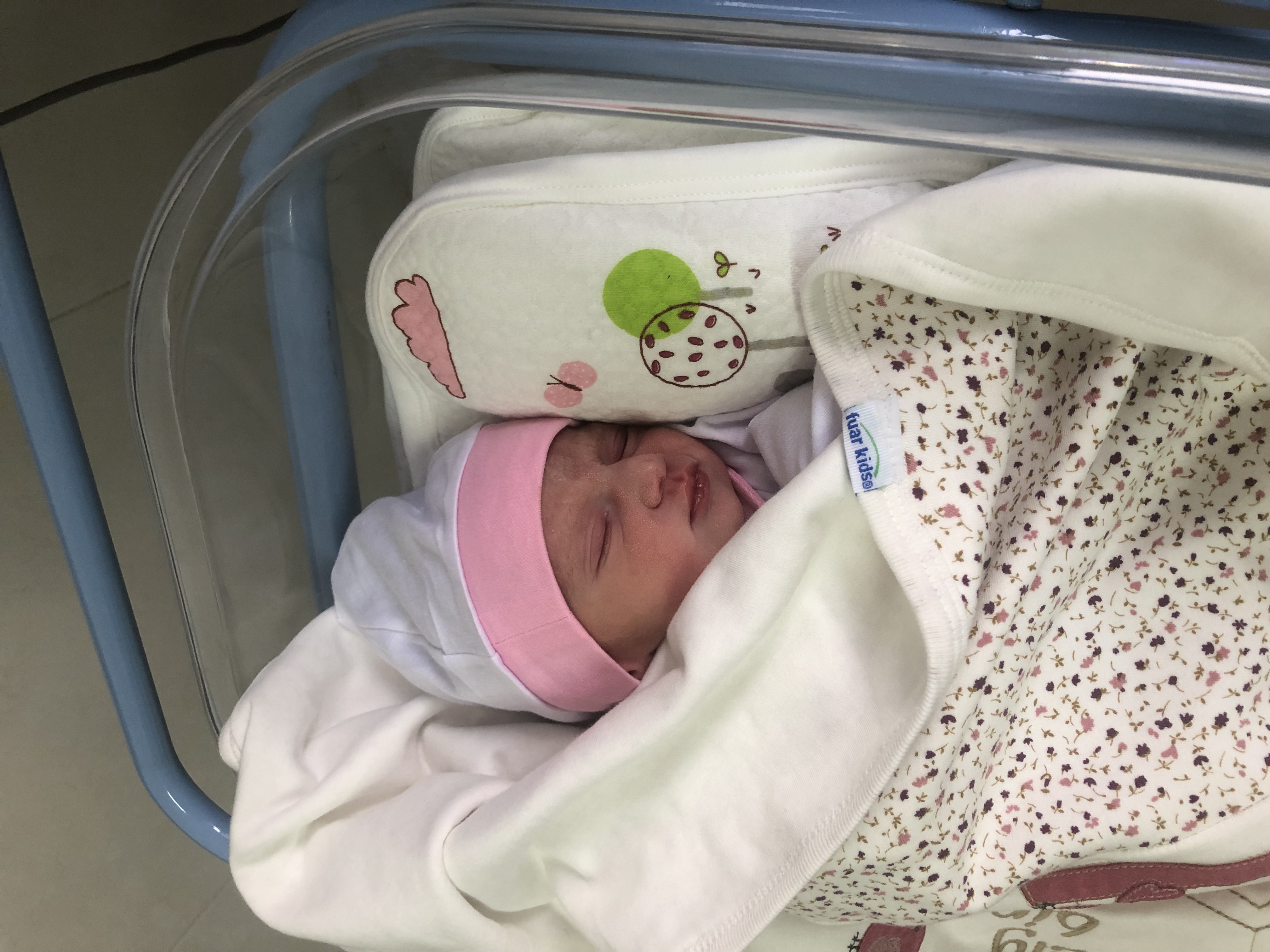 متولد شدن نوزاد ستیا صحبت