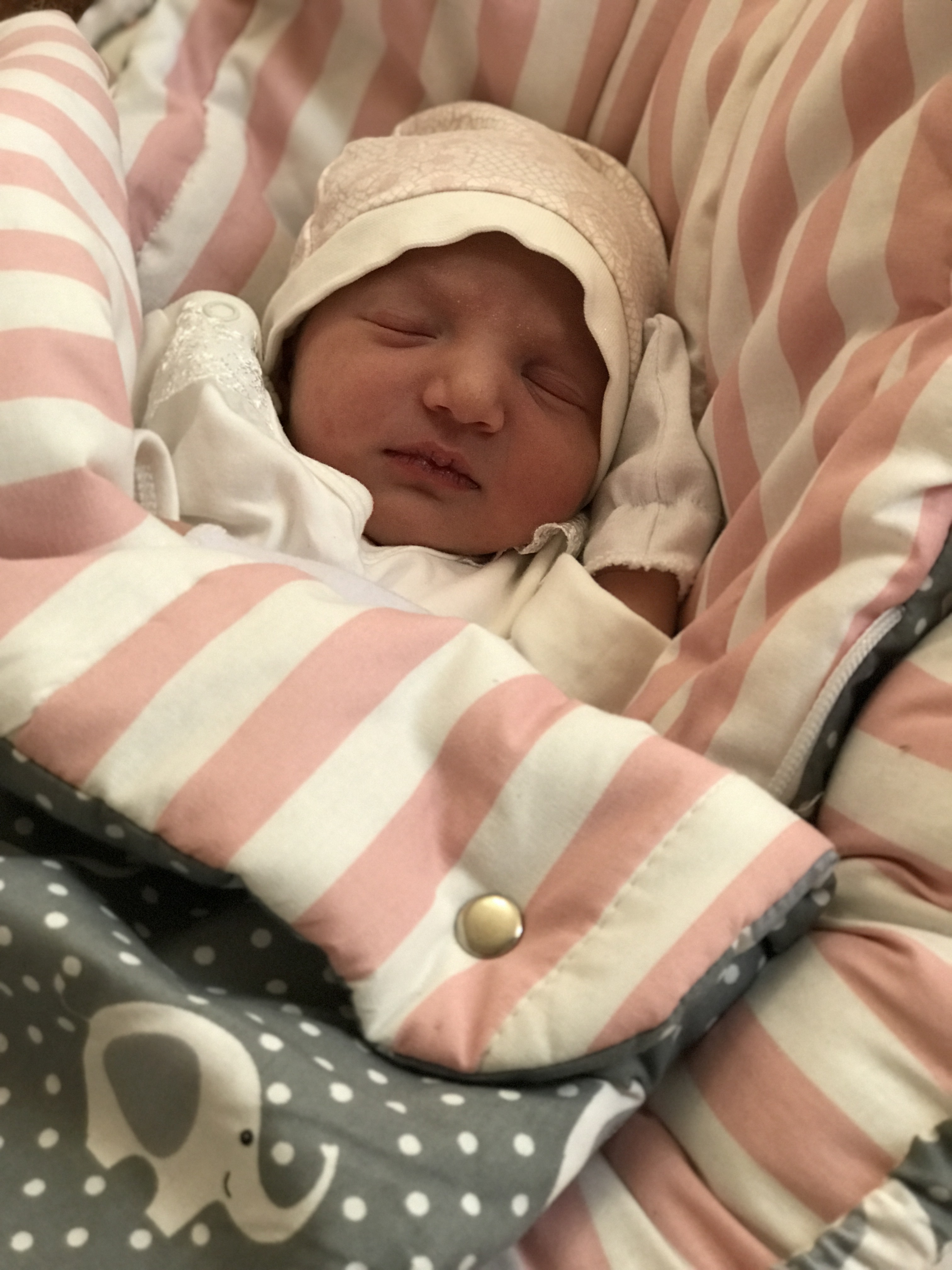 متولد شدن نوزاد ستین حیدری