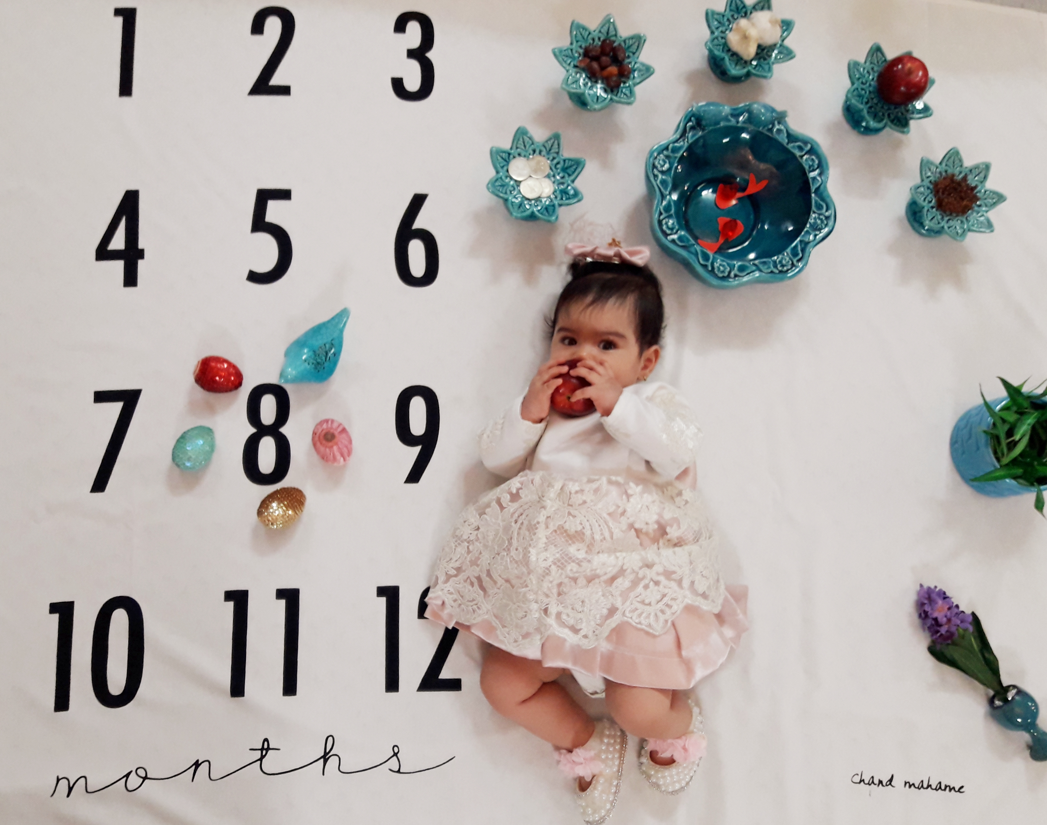 هشت ماهگی نوزاد سلین