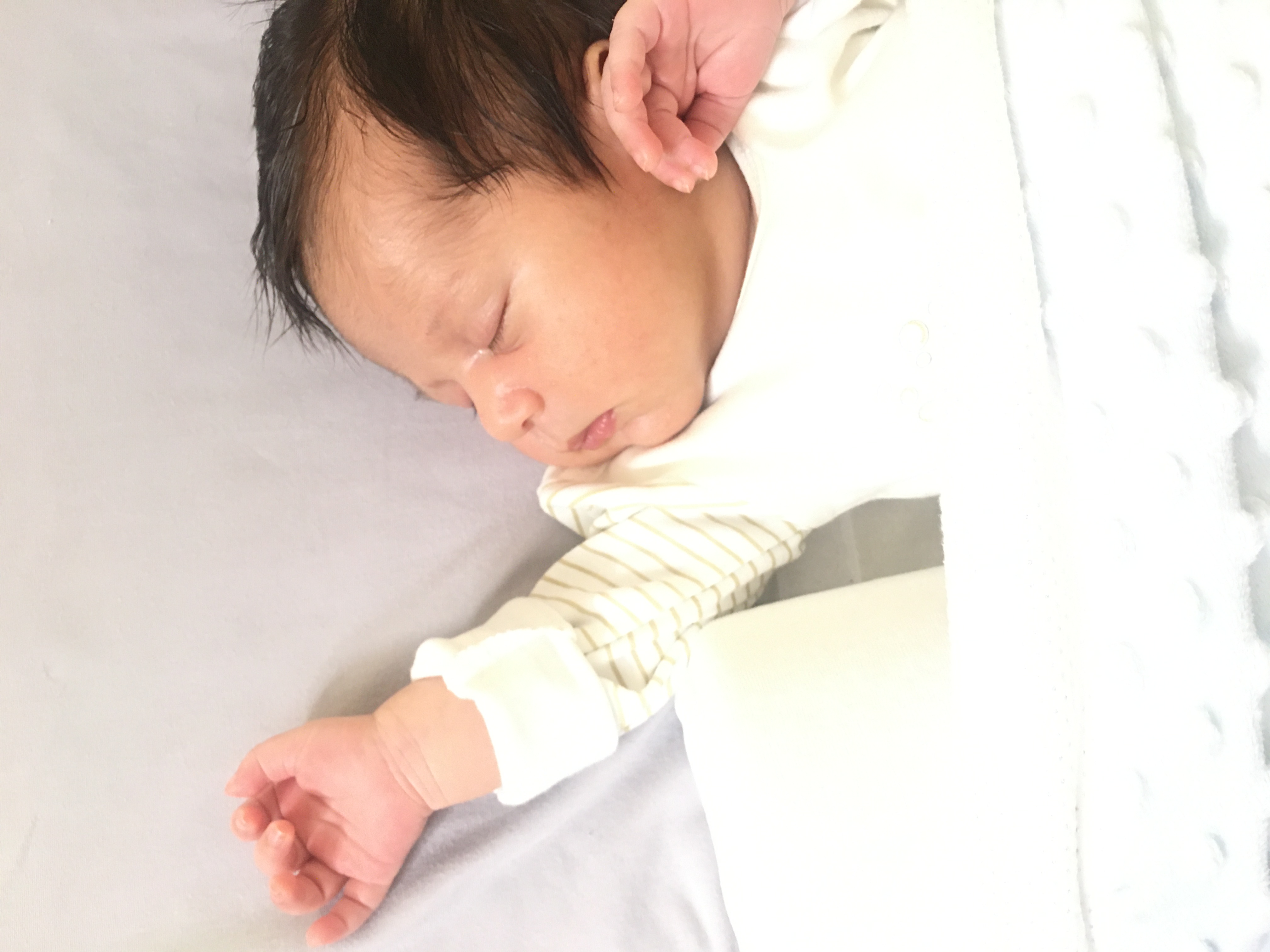 جشن ولنتاین کودک رادین اینانلو