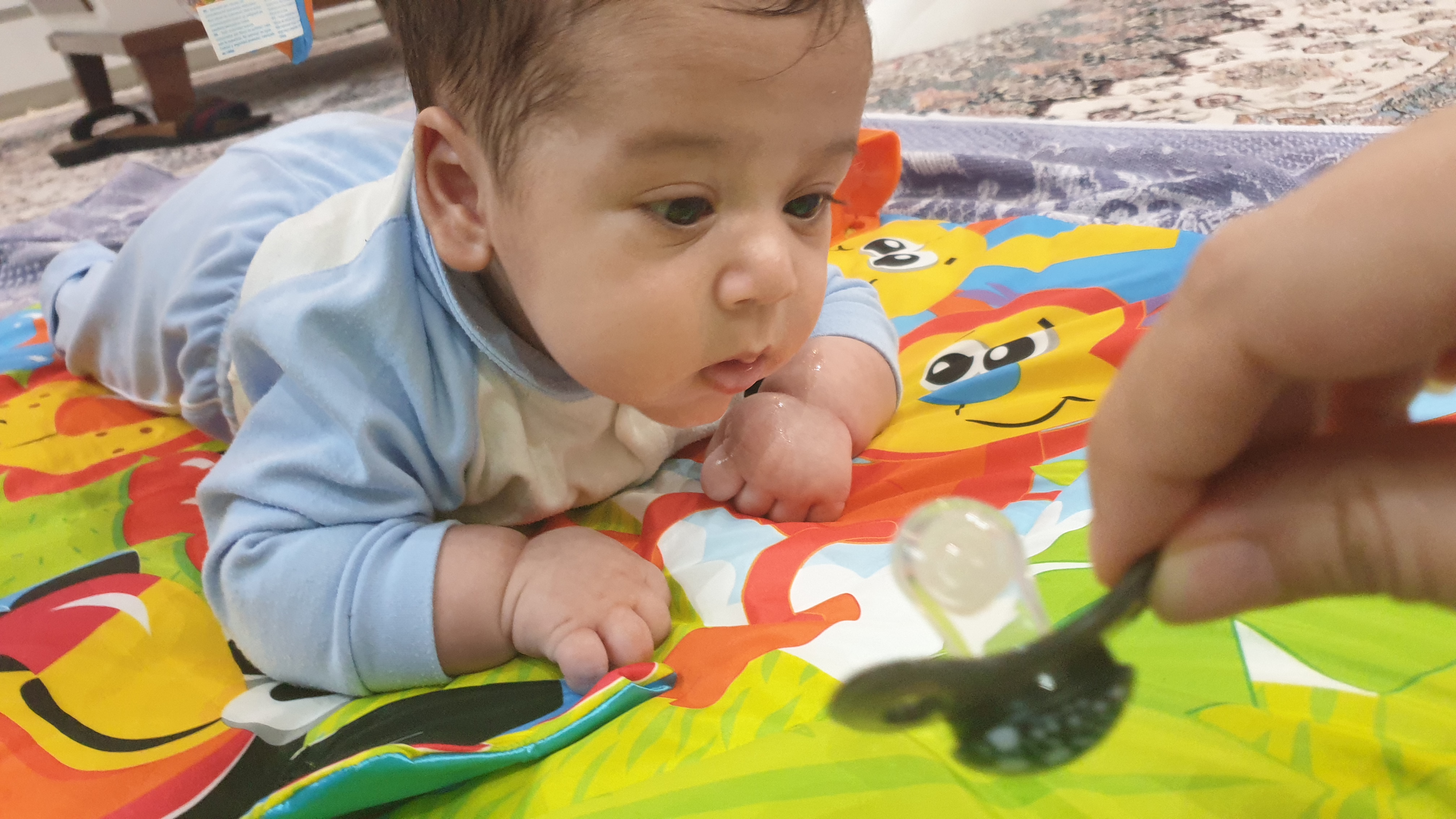 عکس نوزاد پسر رادین اینانلو