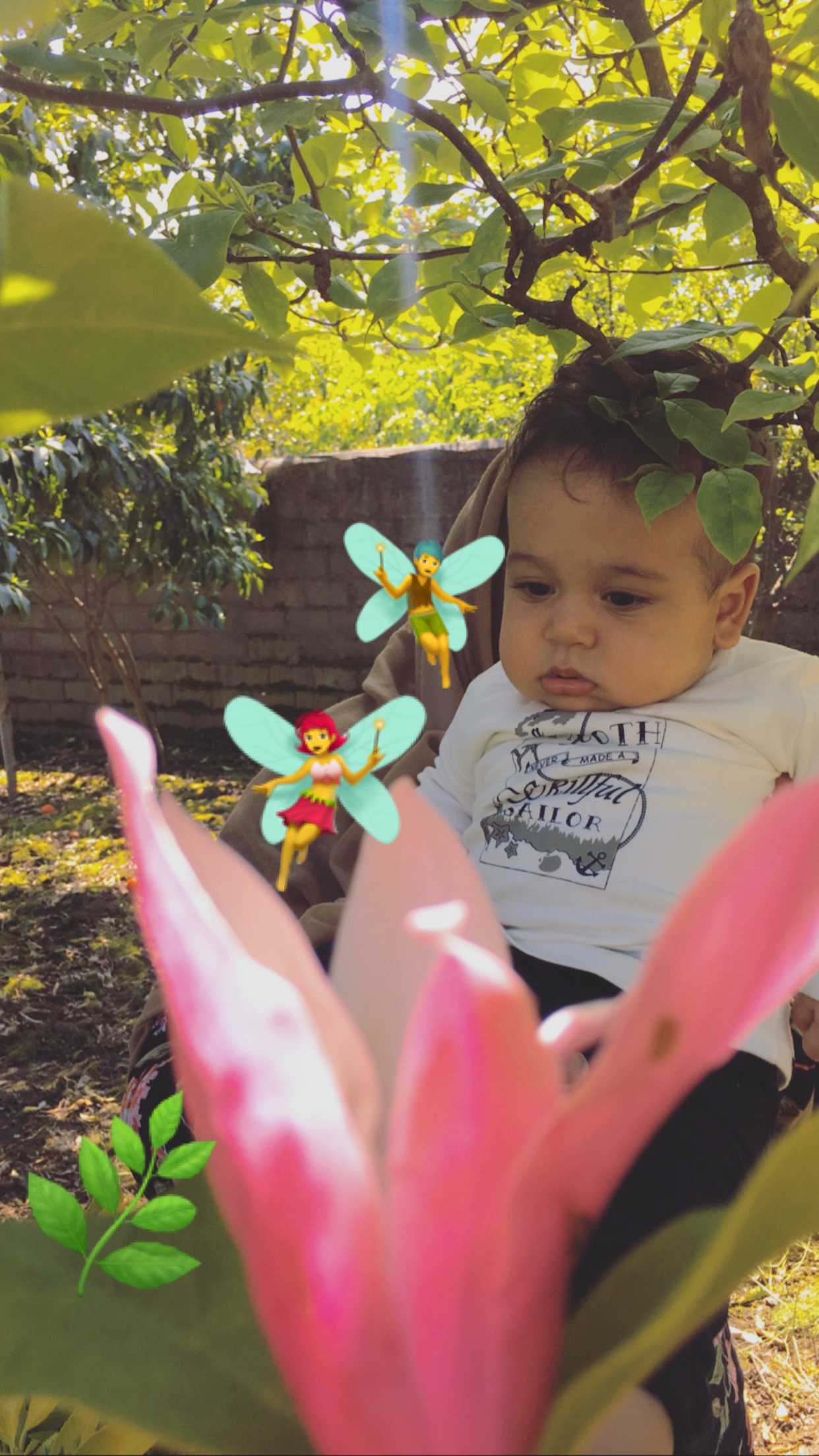 شروع غذای کمکی رادین اینانلو