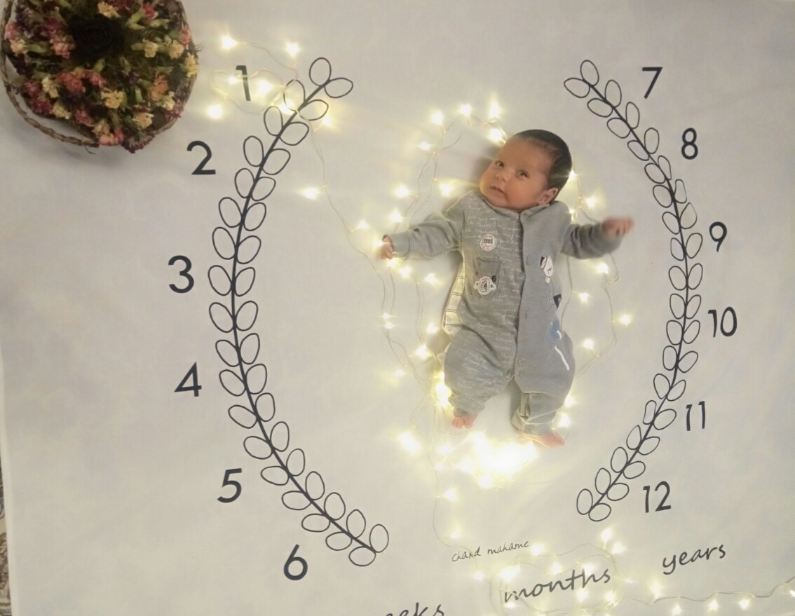 پارچه ماه شمار طرح شاخه زیتون آراد سازگار