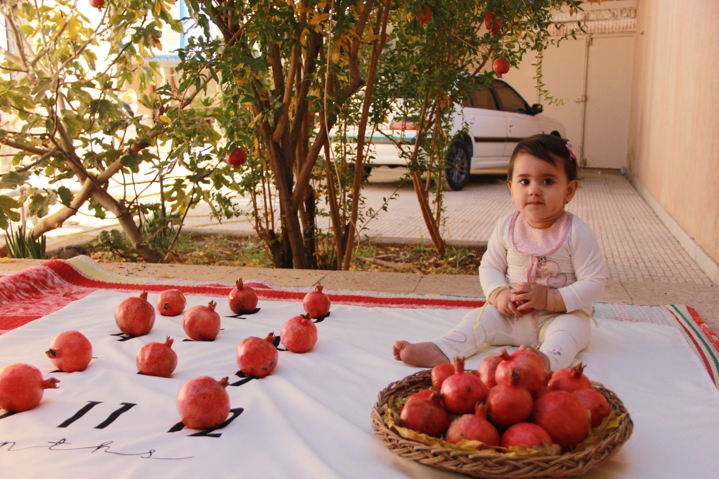 پارچه-های-عکاسی-23876