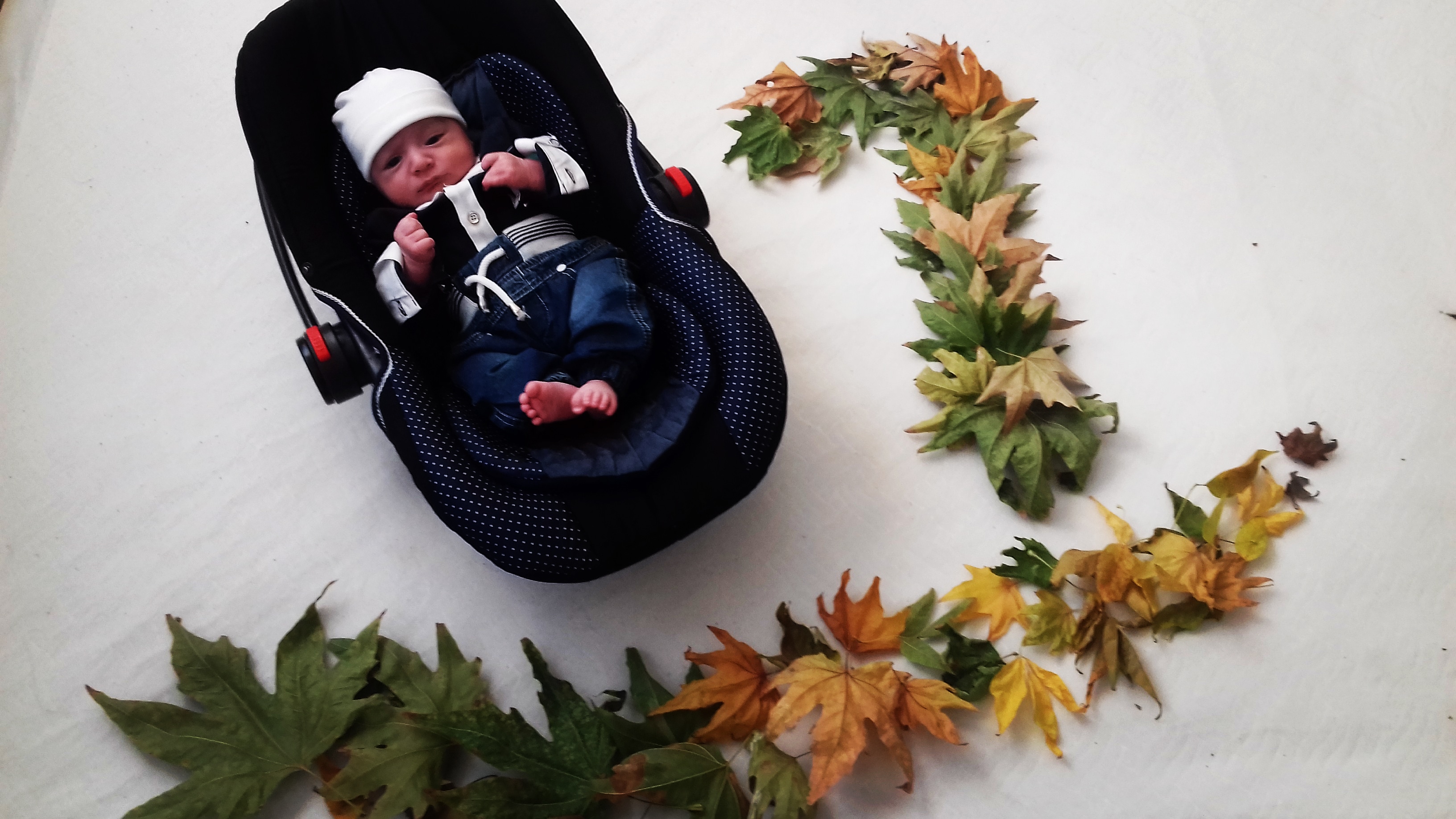 یک ماهگی نوزاد نویان لطیفی