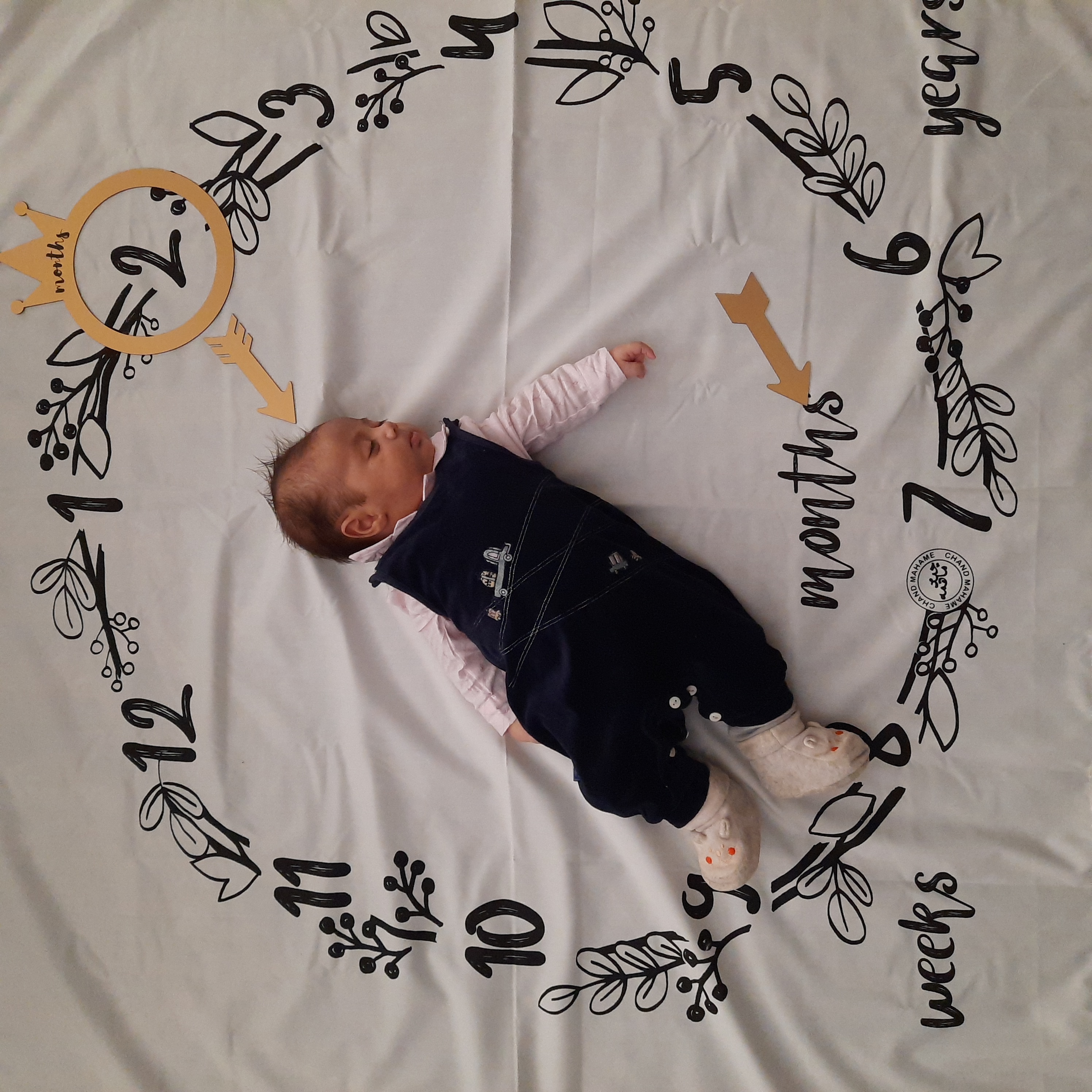 عکس نوزاد پسر ایلیاشکری