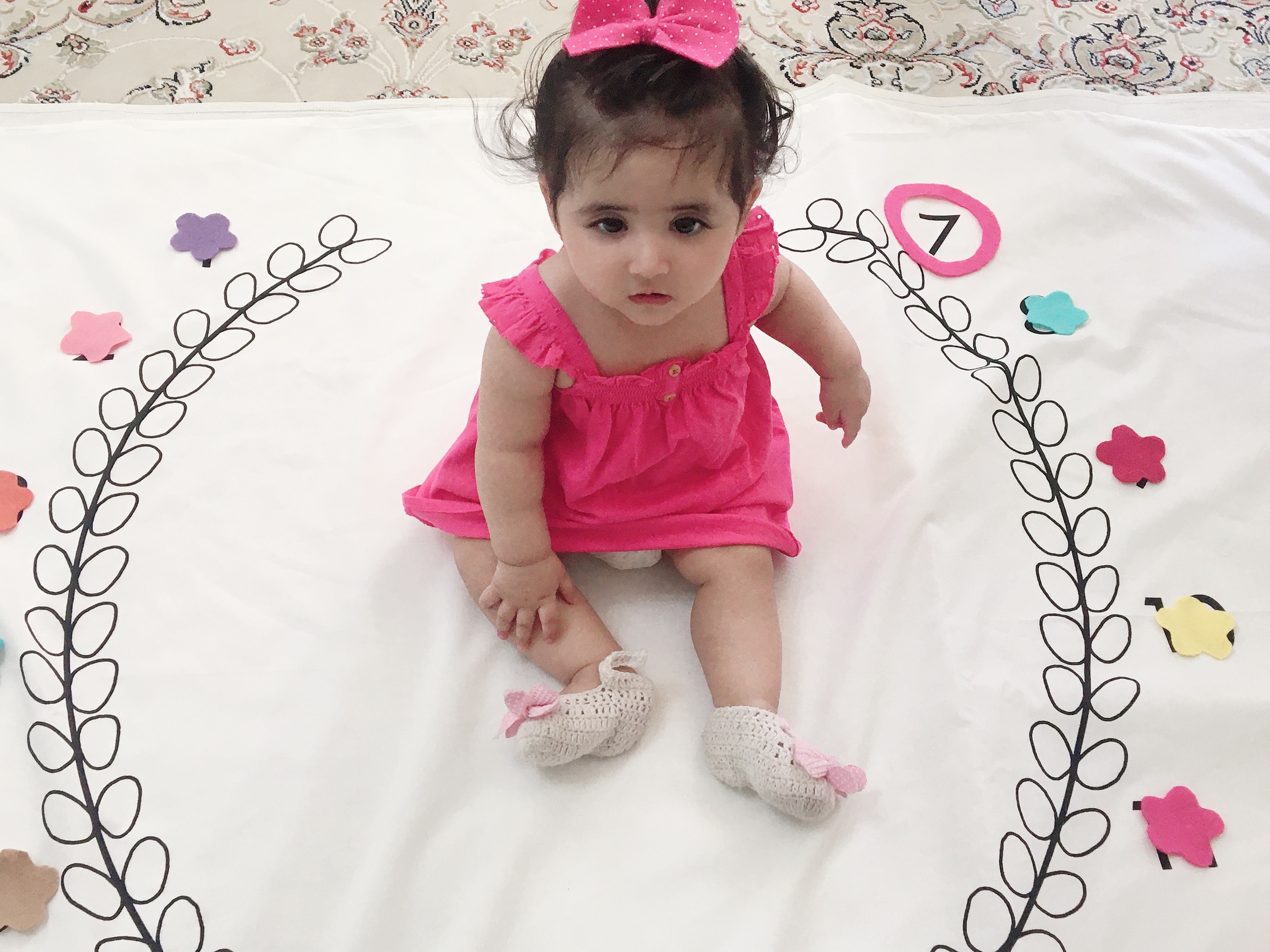 هفت ماهگی نوزاد السا قاسمي