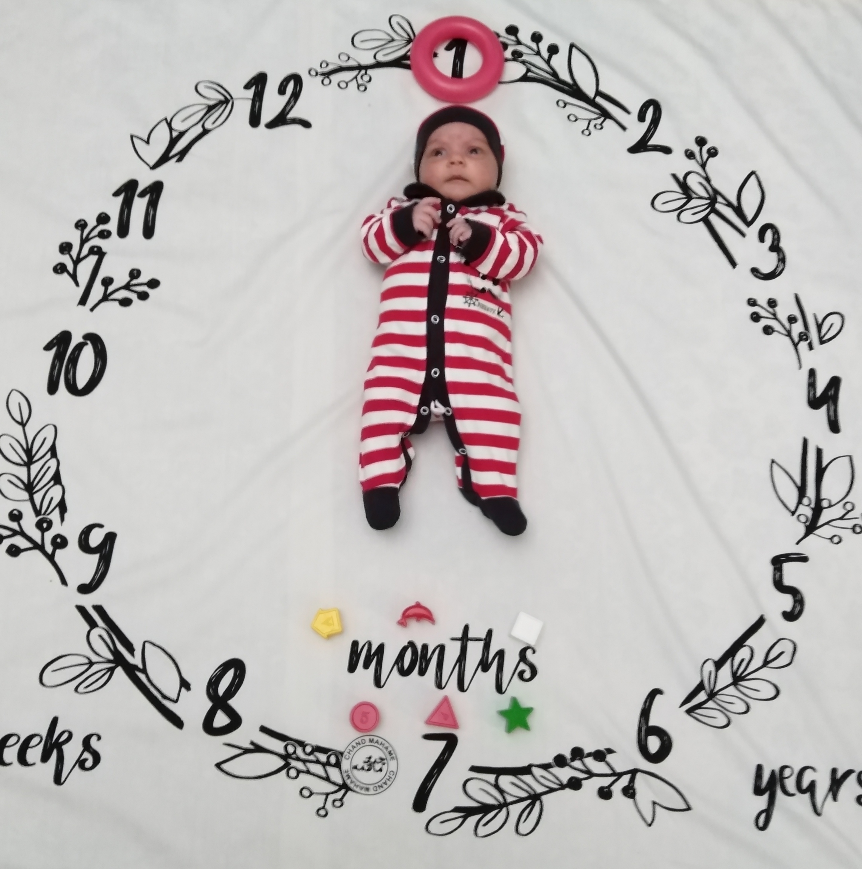 متولد شدن نوزاد یوسف باقری