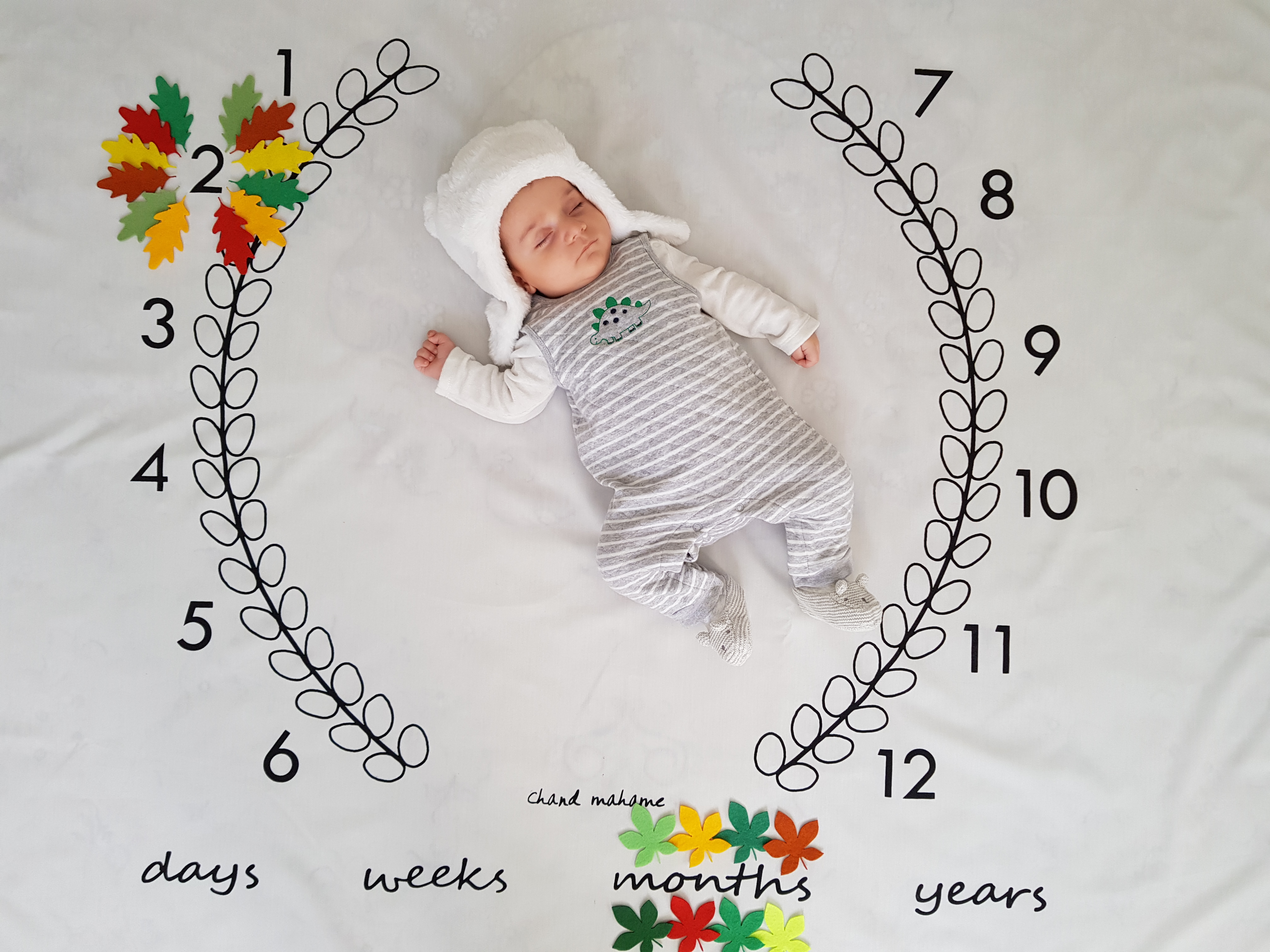 پارچه ماه شمار طرح شاخه زیتون سید آرش غفاری