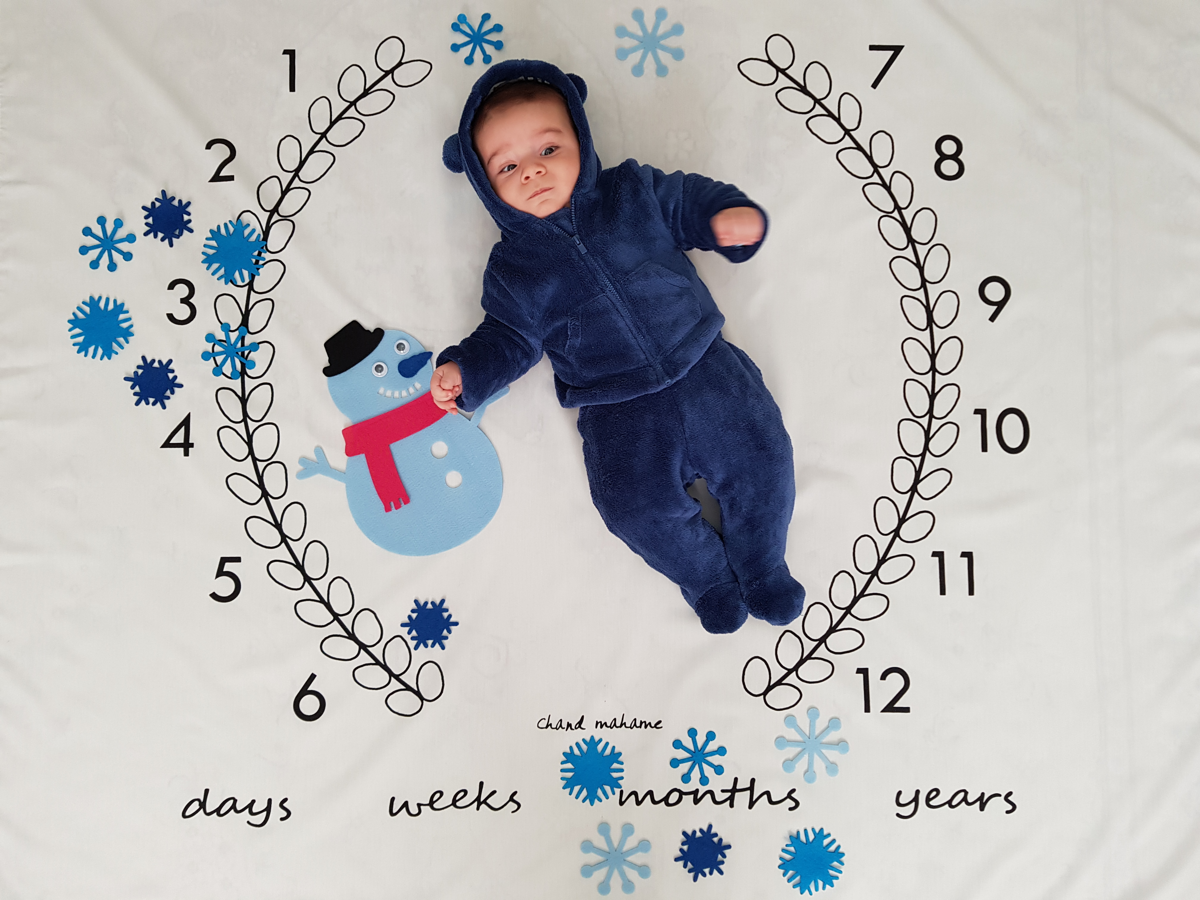 پارچه ماه شمار طرح شاخه زیتون سید آرش غفاری