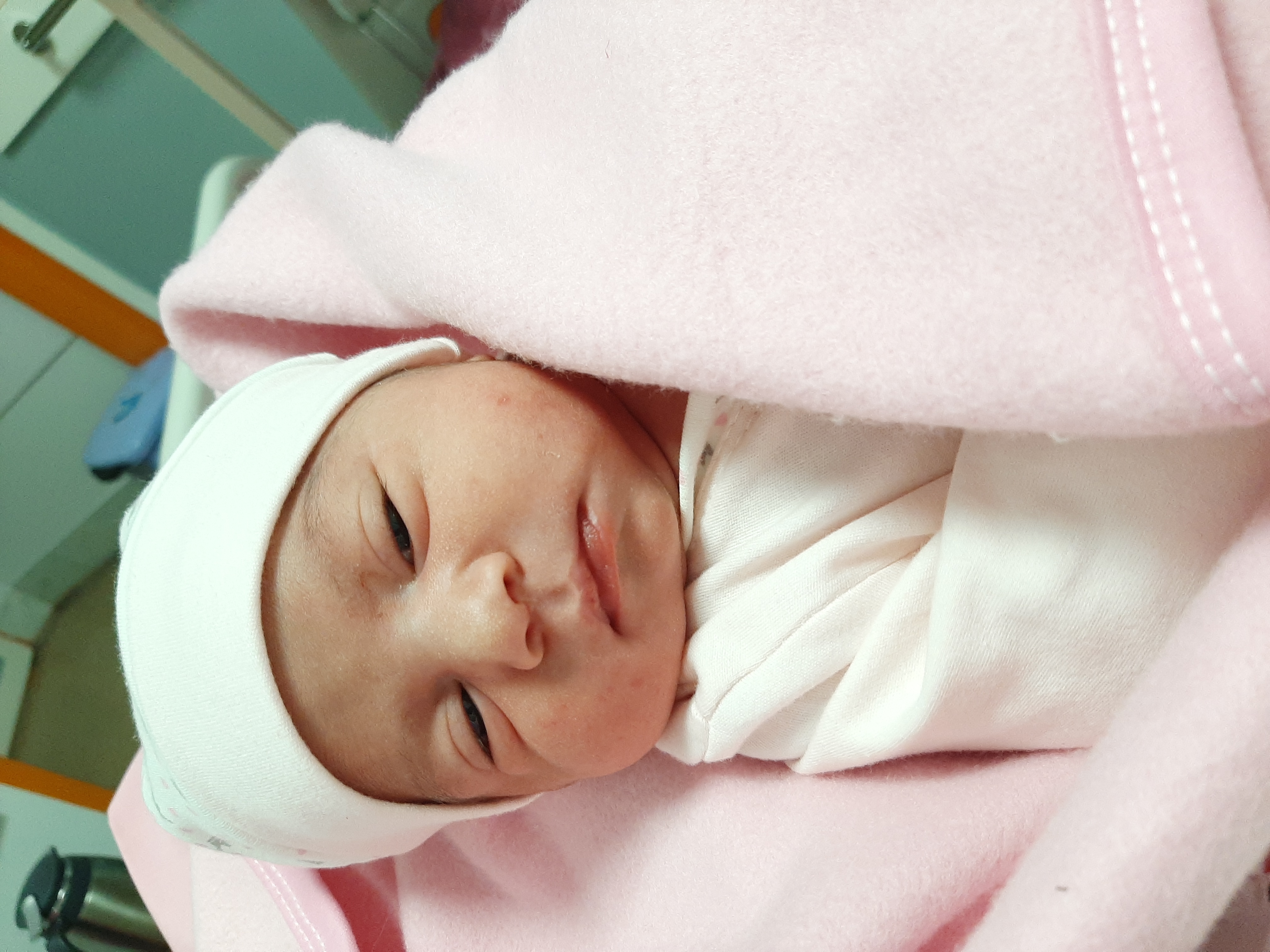 جشن ولنتاین کودک هانا عربگری