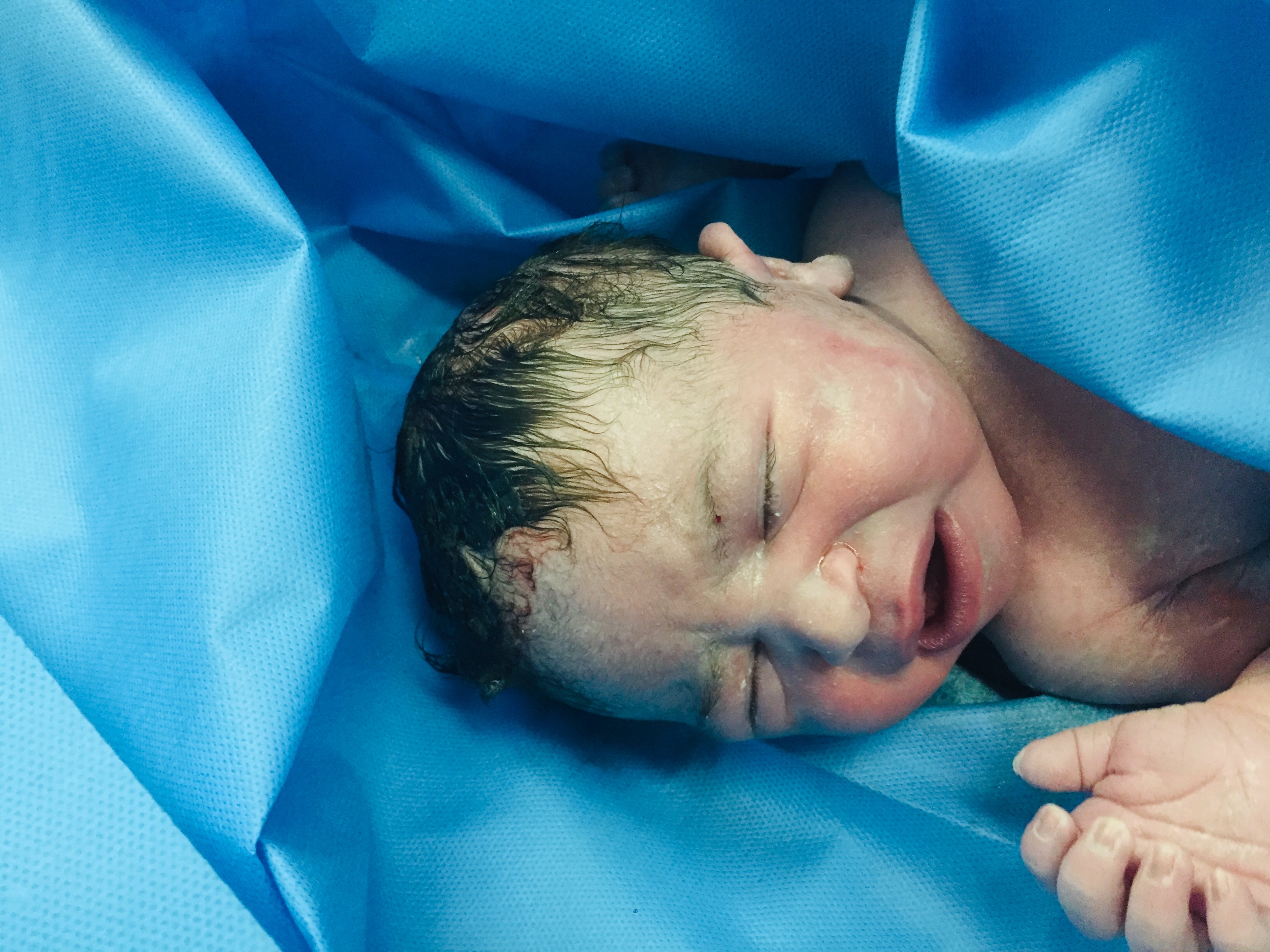 متولد شدن نوزاد شاهان عزیزی