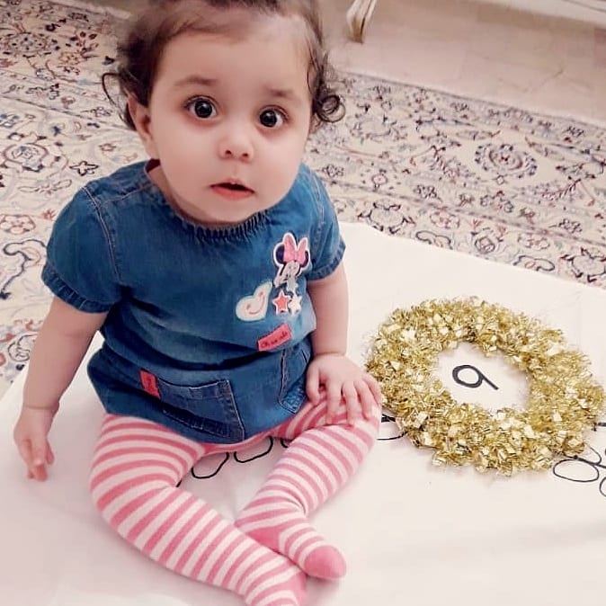 پارچه ماه شمار طرح شاخه زیتون باران باقری پژو