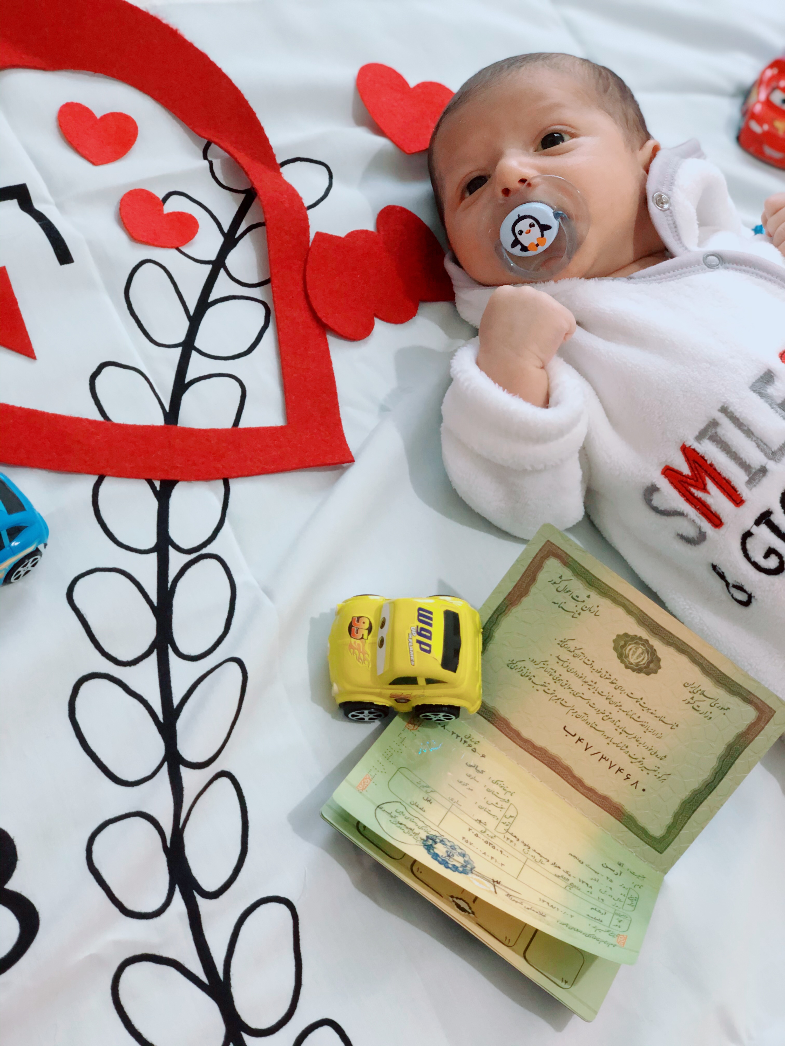 تم-و-تزیینات-عاشقانه-8088