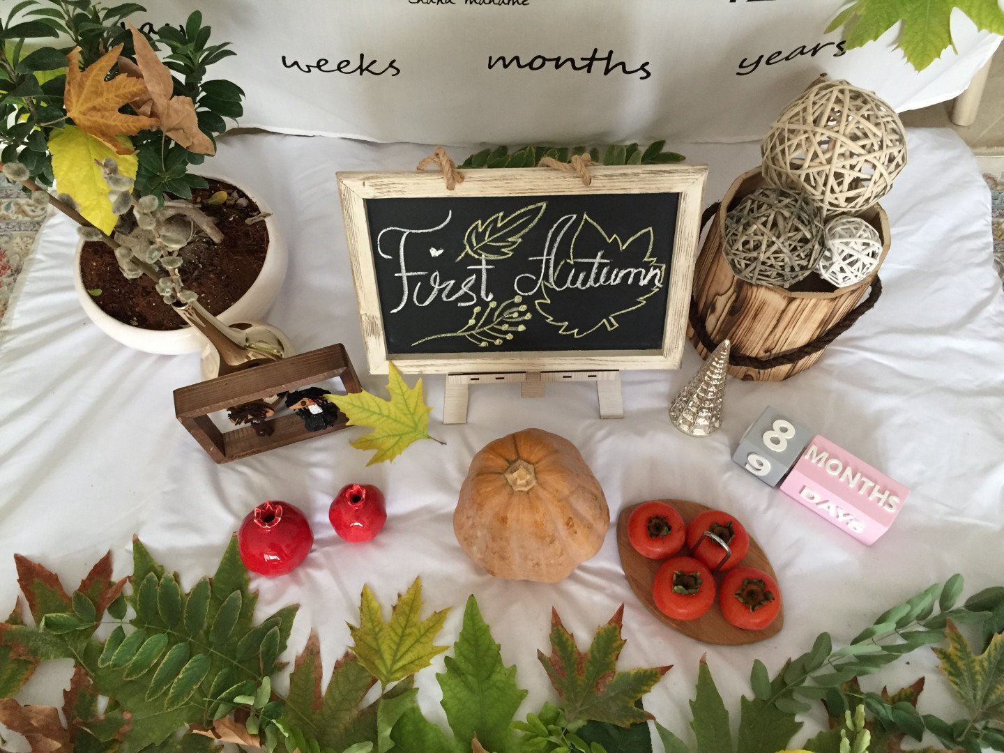 هشت ماهگی نوزاد روشا ملاجعفر