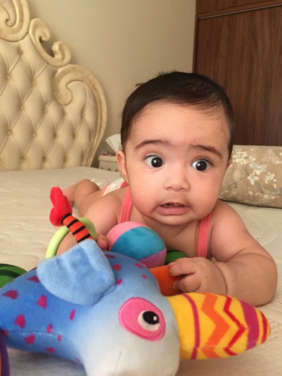 جشن دندونی نوزاد روشا ملاجعفر