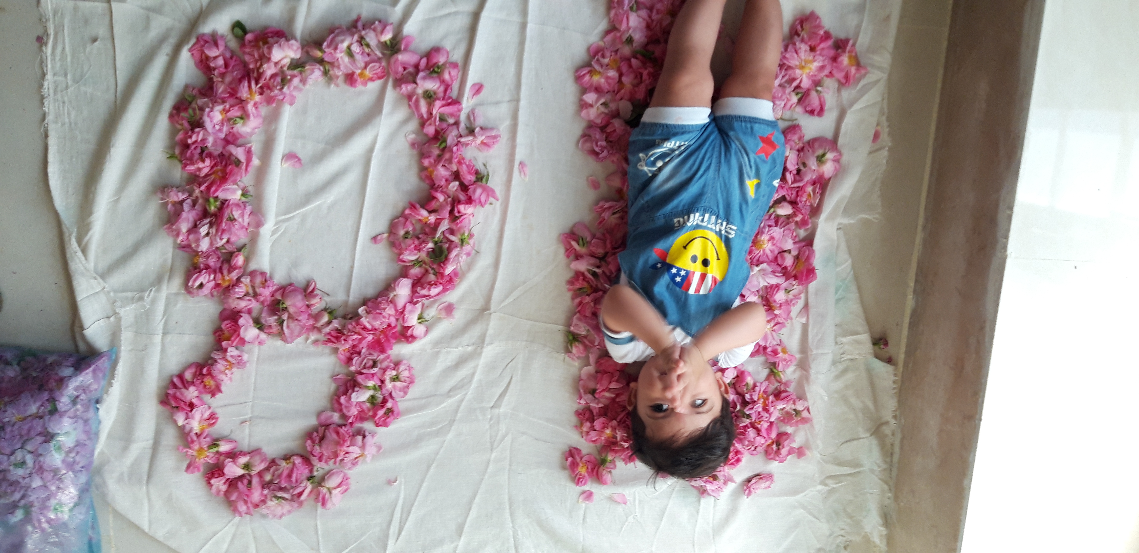 هشت ماهگی نوزاد امیررهام عباسی مقدم