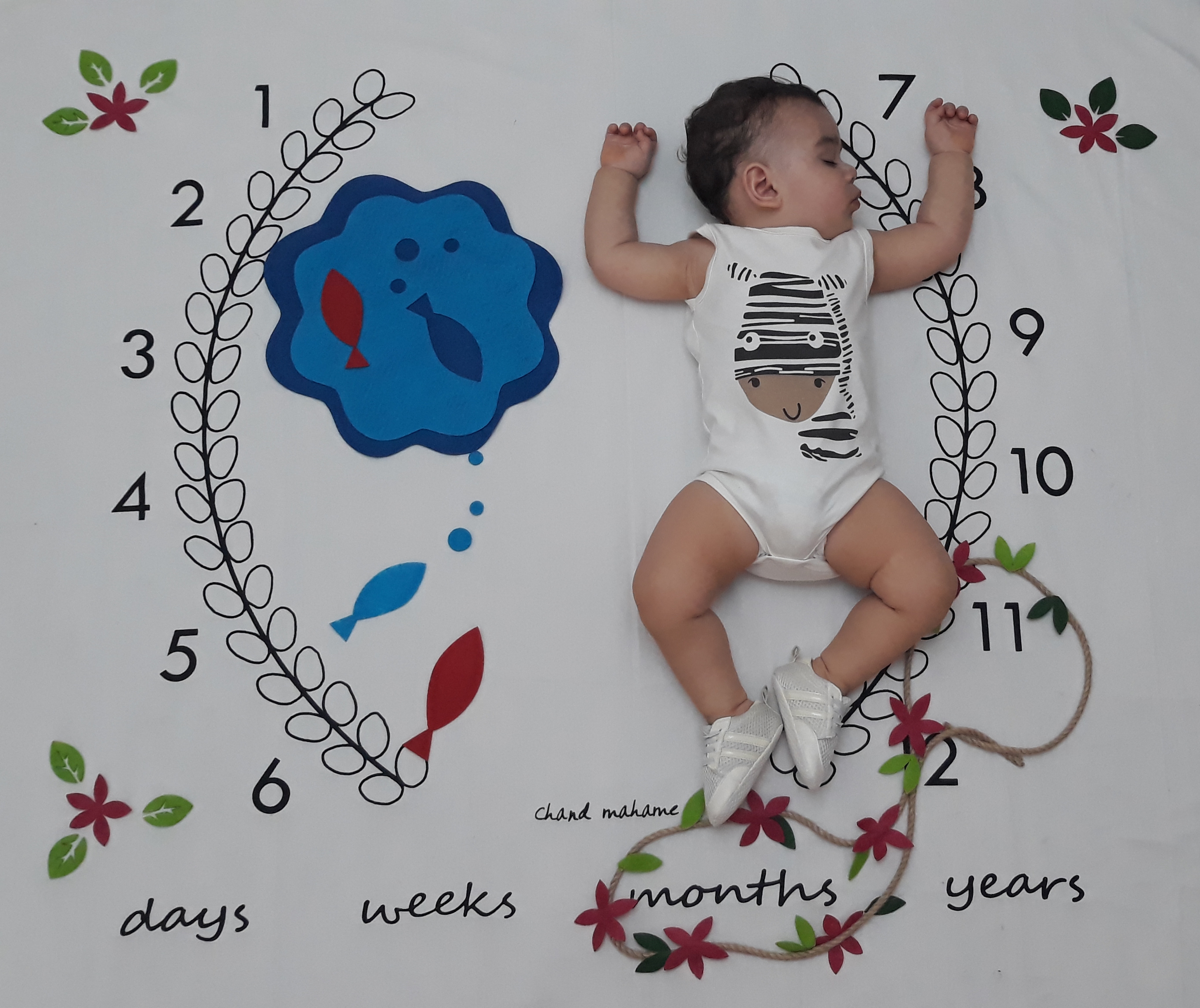 عید نوروز آرتا عابدینی