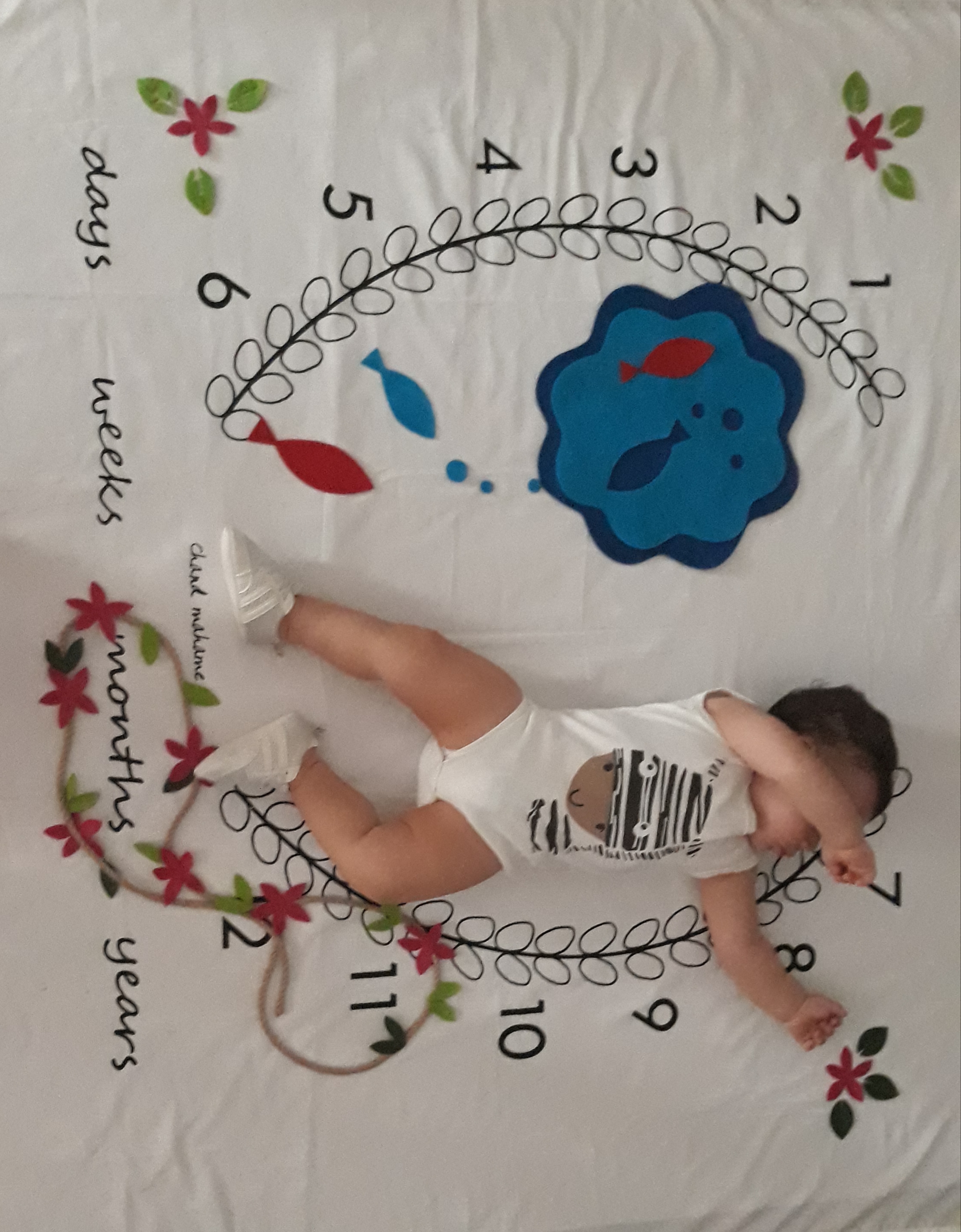 یازده ماهگی نوزاد آرتا عابدینی