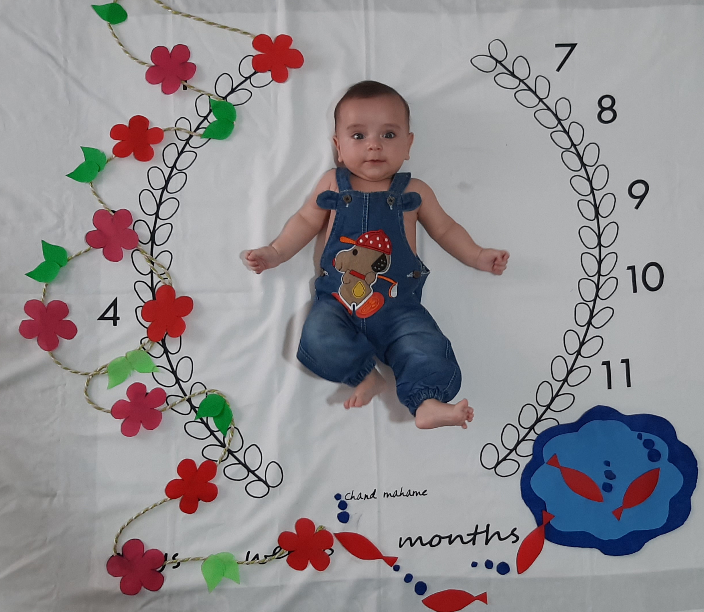 غلتیدن نوزاد سامیار حسن راد