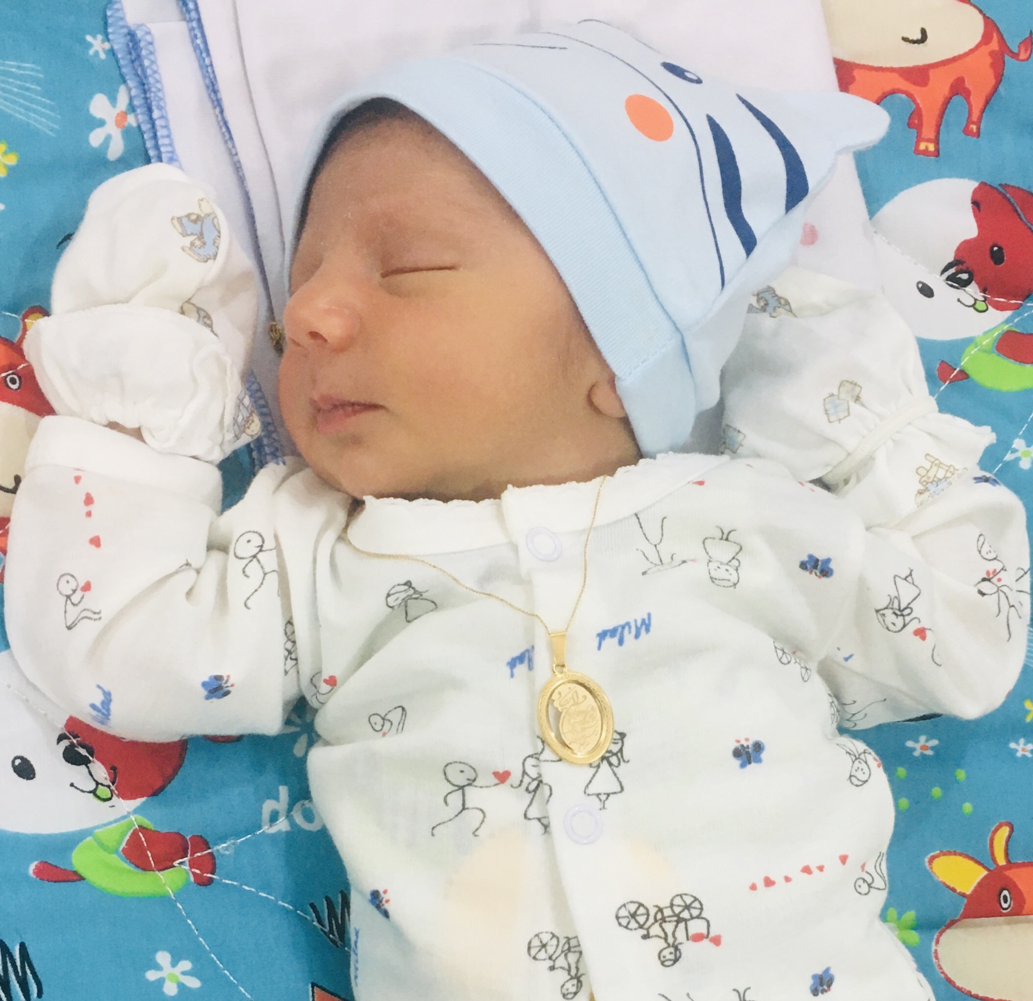 تم عکس زمستانی نوزاد رادوين حق گو