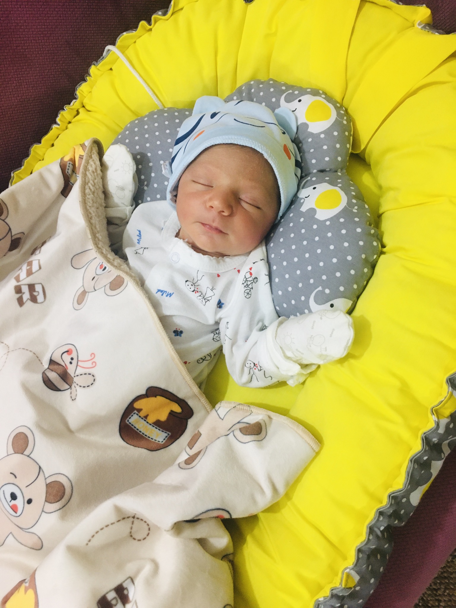 متولد شدن نوزاد رادوين حق گو