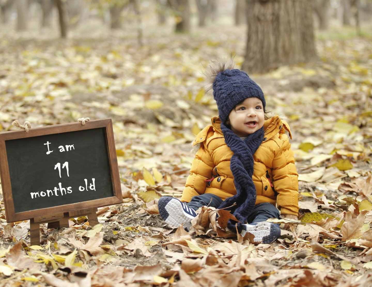 تخته سیاه فانتزی رادمان نصیریان