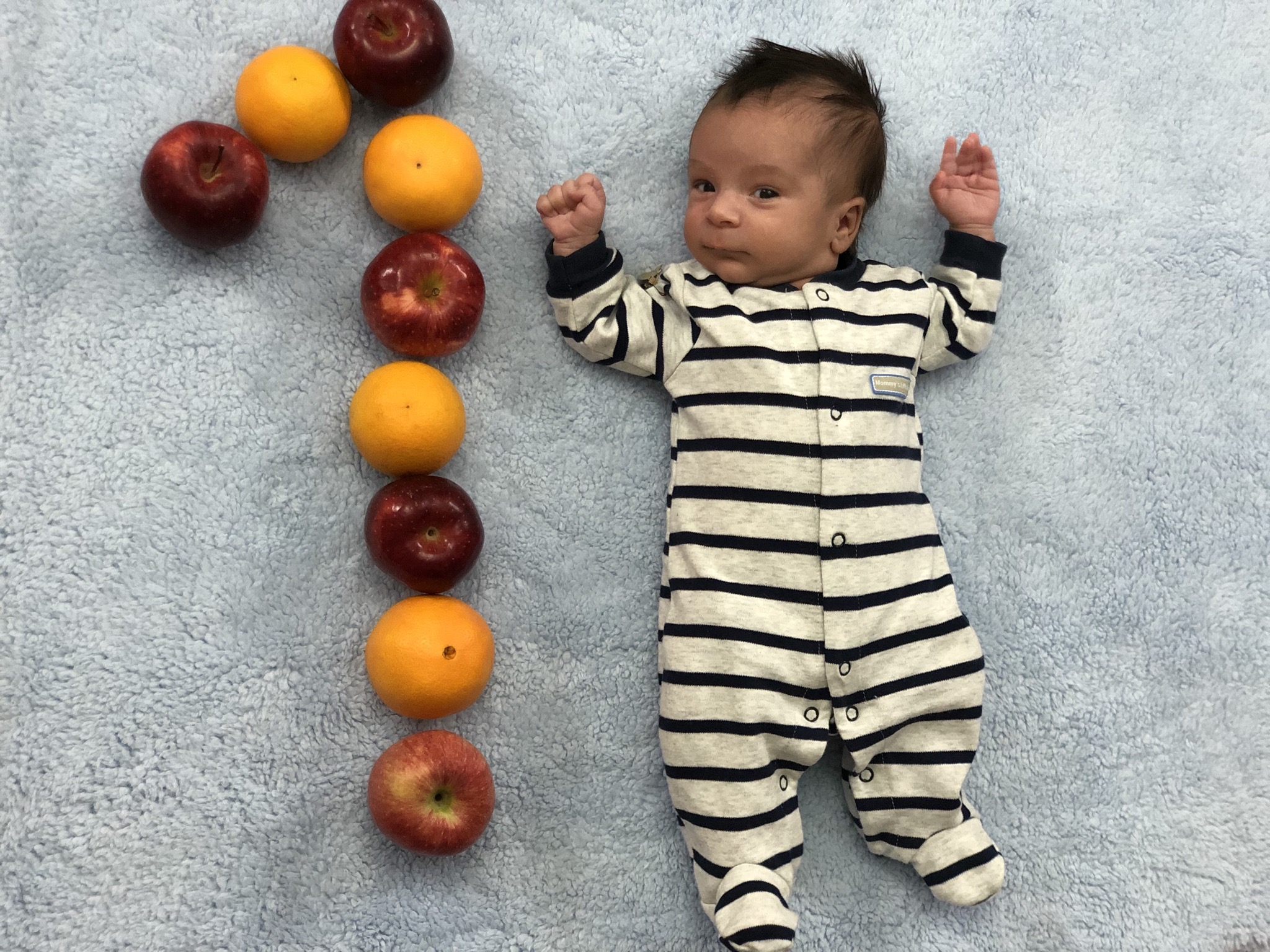 یک ماهگی نوزاد شاهان سلطانی