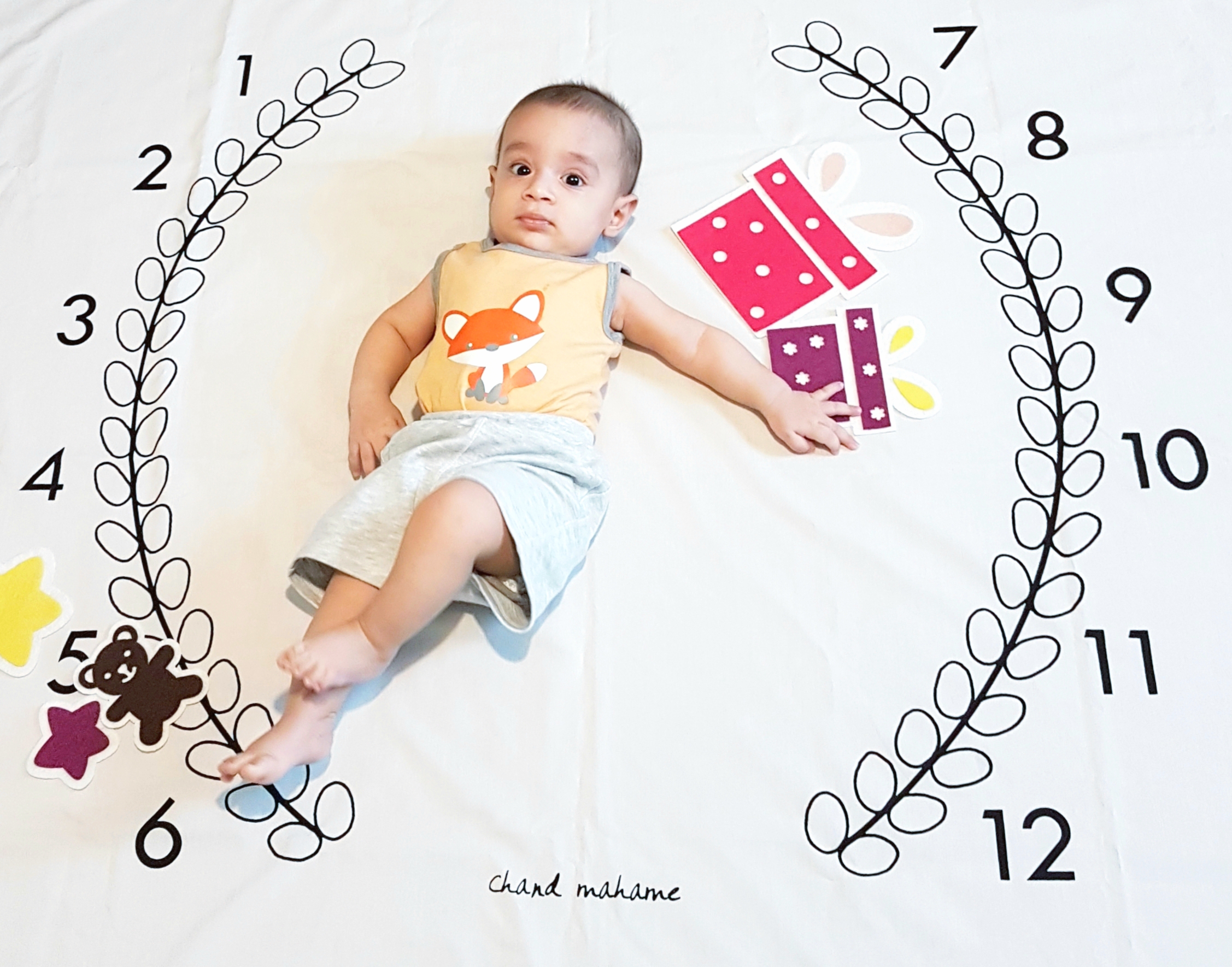 پارچه ماه شمار طرح شاخه زیتون ارشیا اکرمی