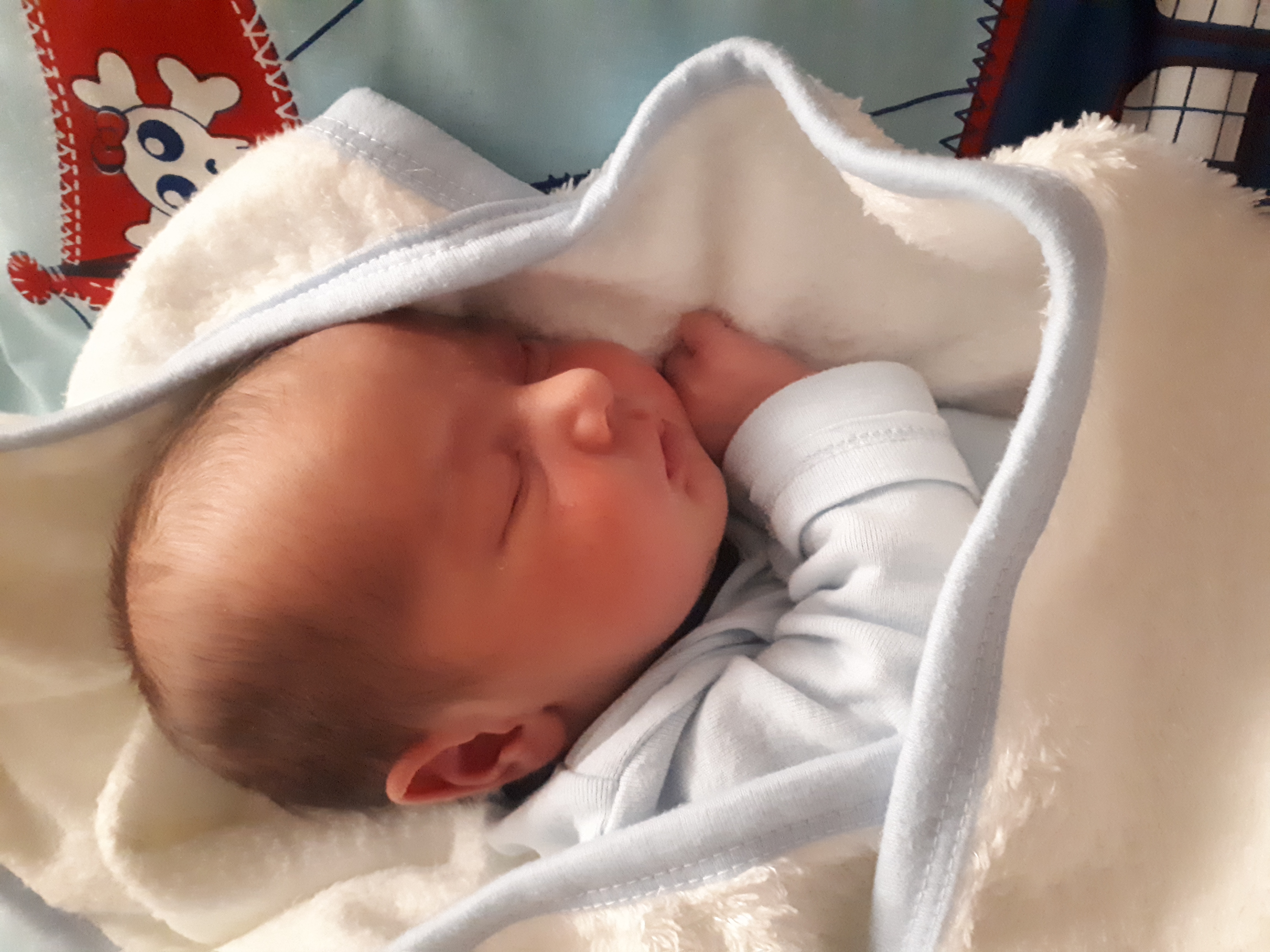 یک ماهگی نوزاد ماهان گنجه