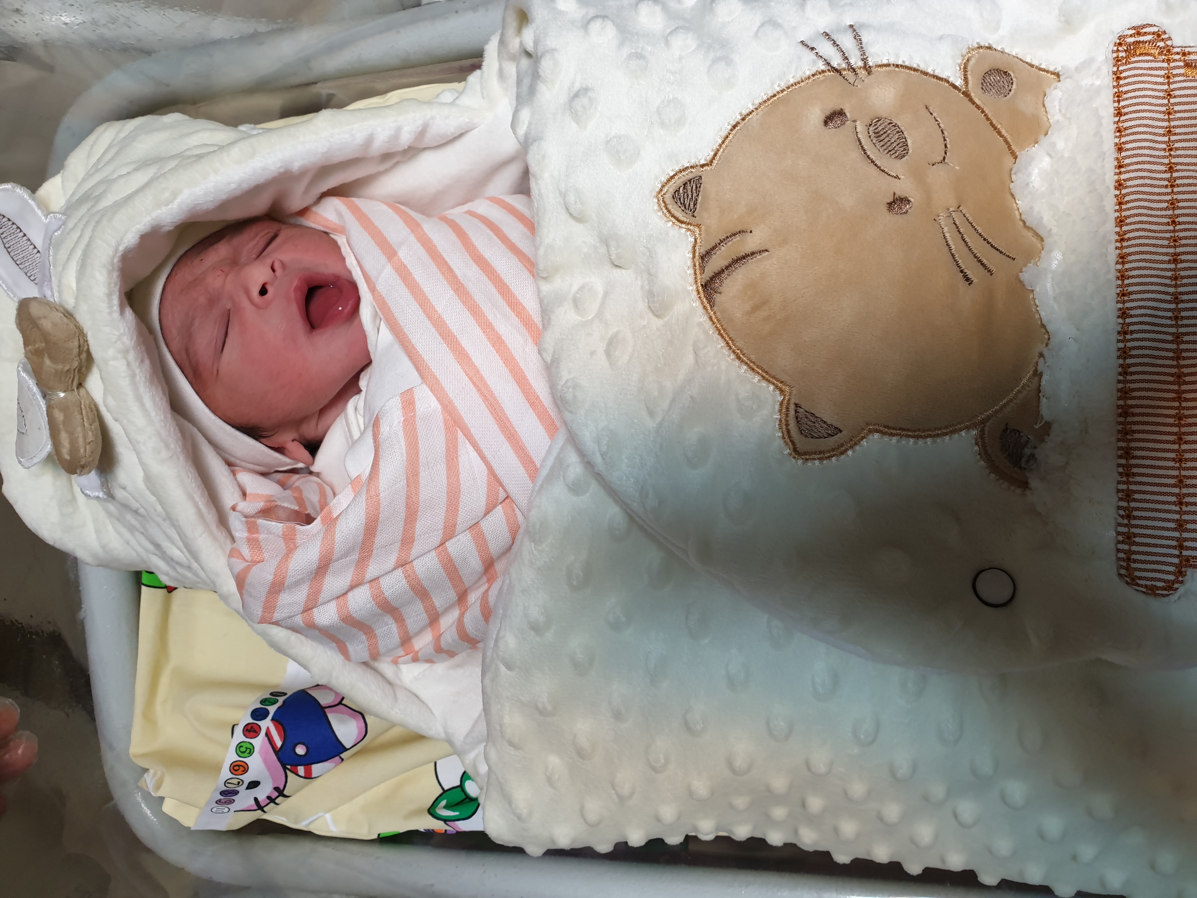 متولد شدن نوزاد شاهان امینی